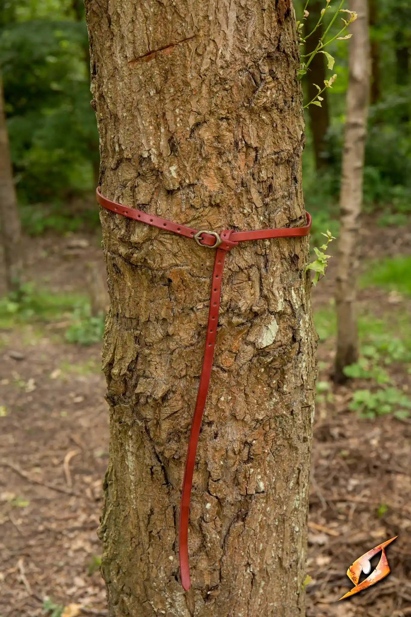 Belt Godfrey - Image 30