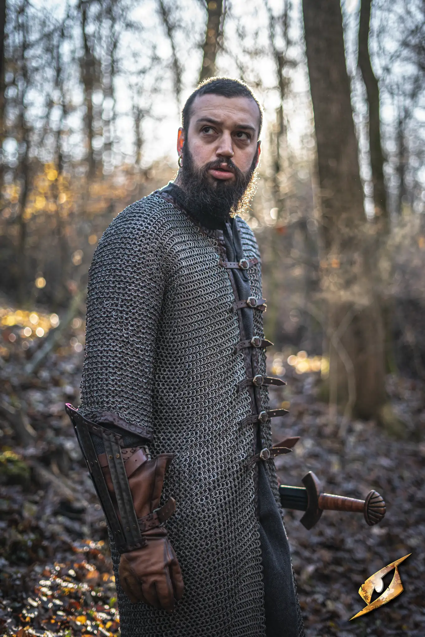 Royal Soldier Chainmail - Image 2