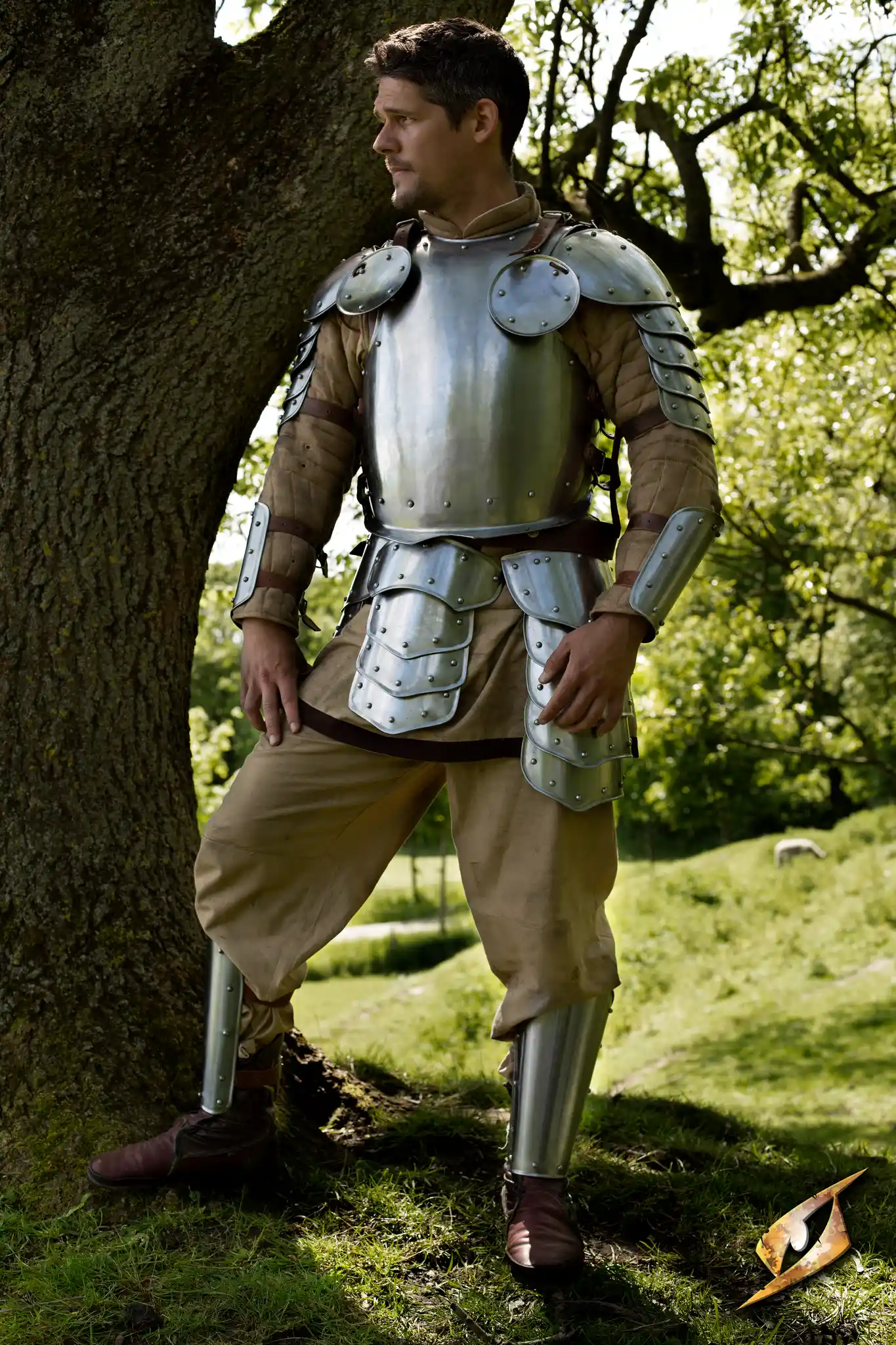 Warrior Complete Armour - Image 16