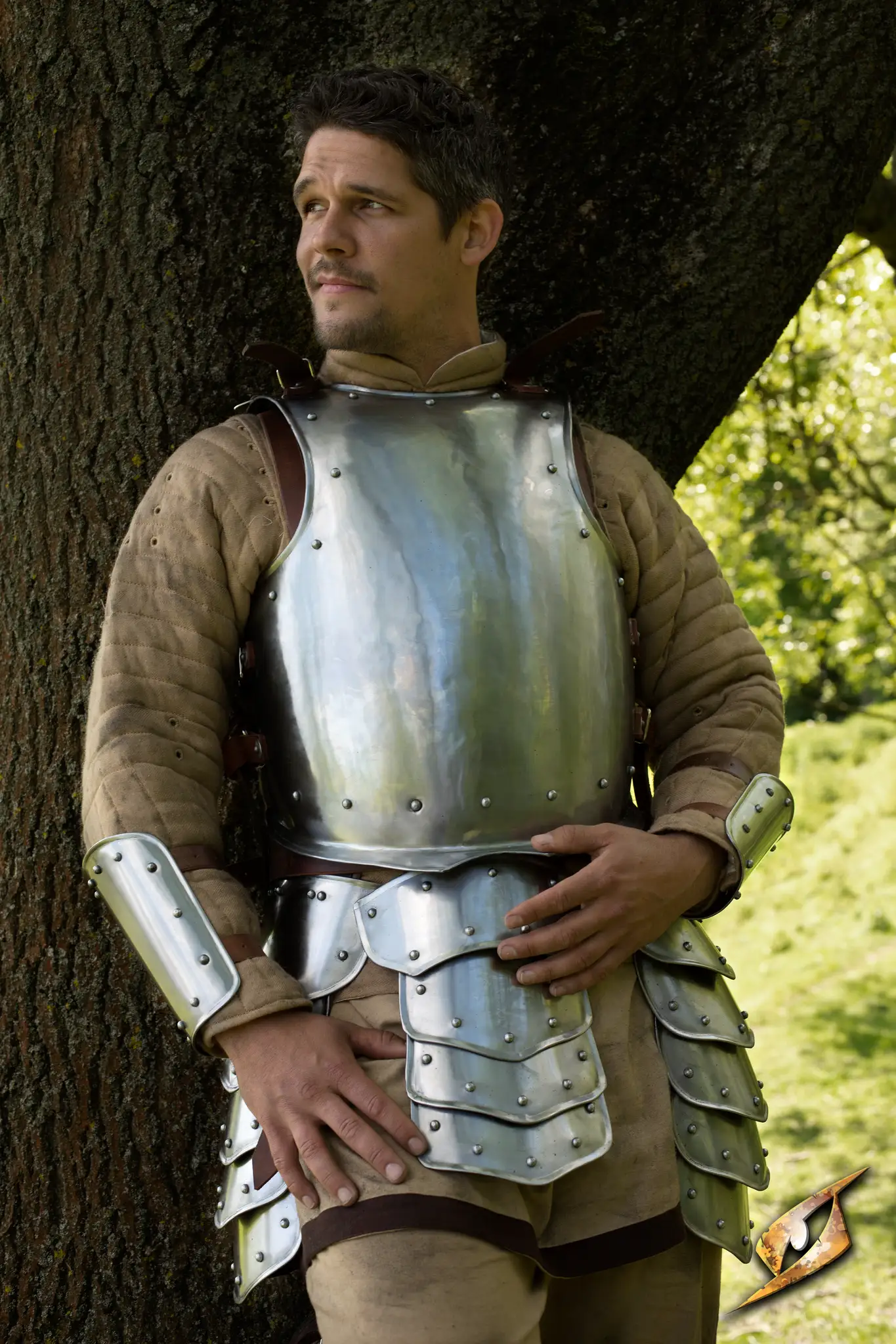 Warrior Complete Armour - Image 2