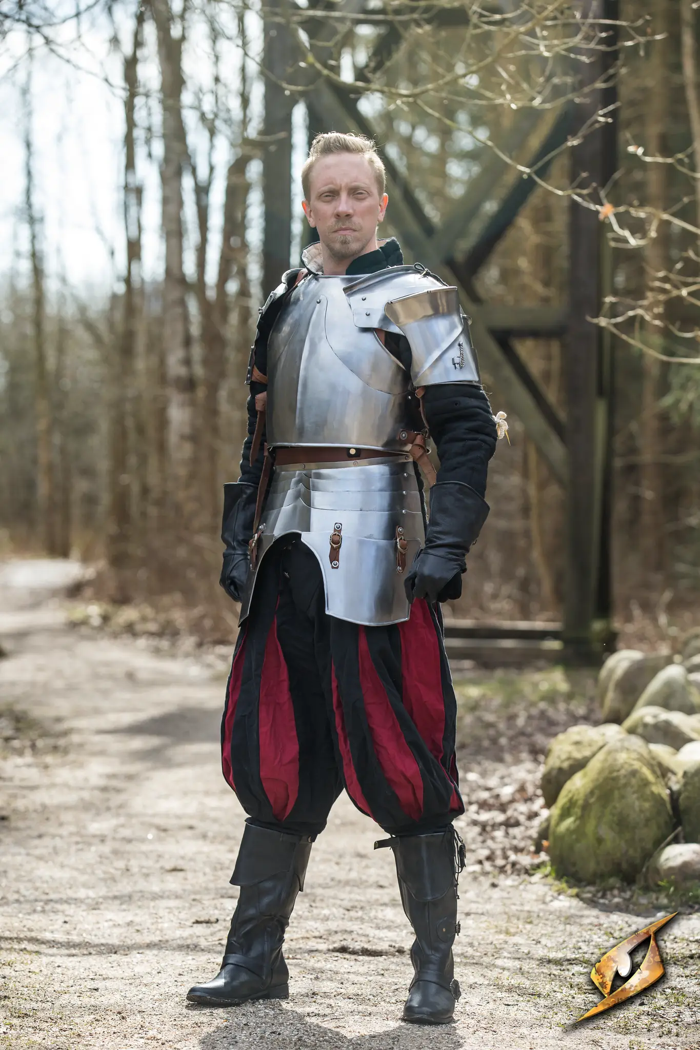 Milanese Complete Armour - Image 3