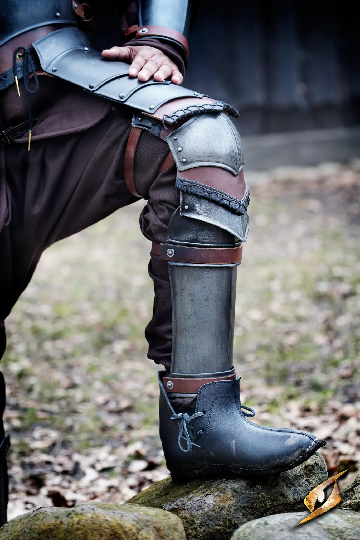 Rogue Leg Protection - Image 2