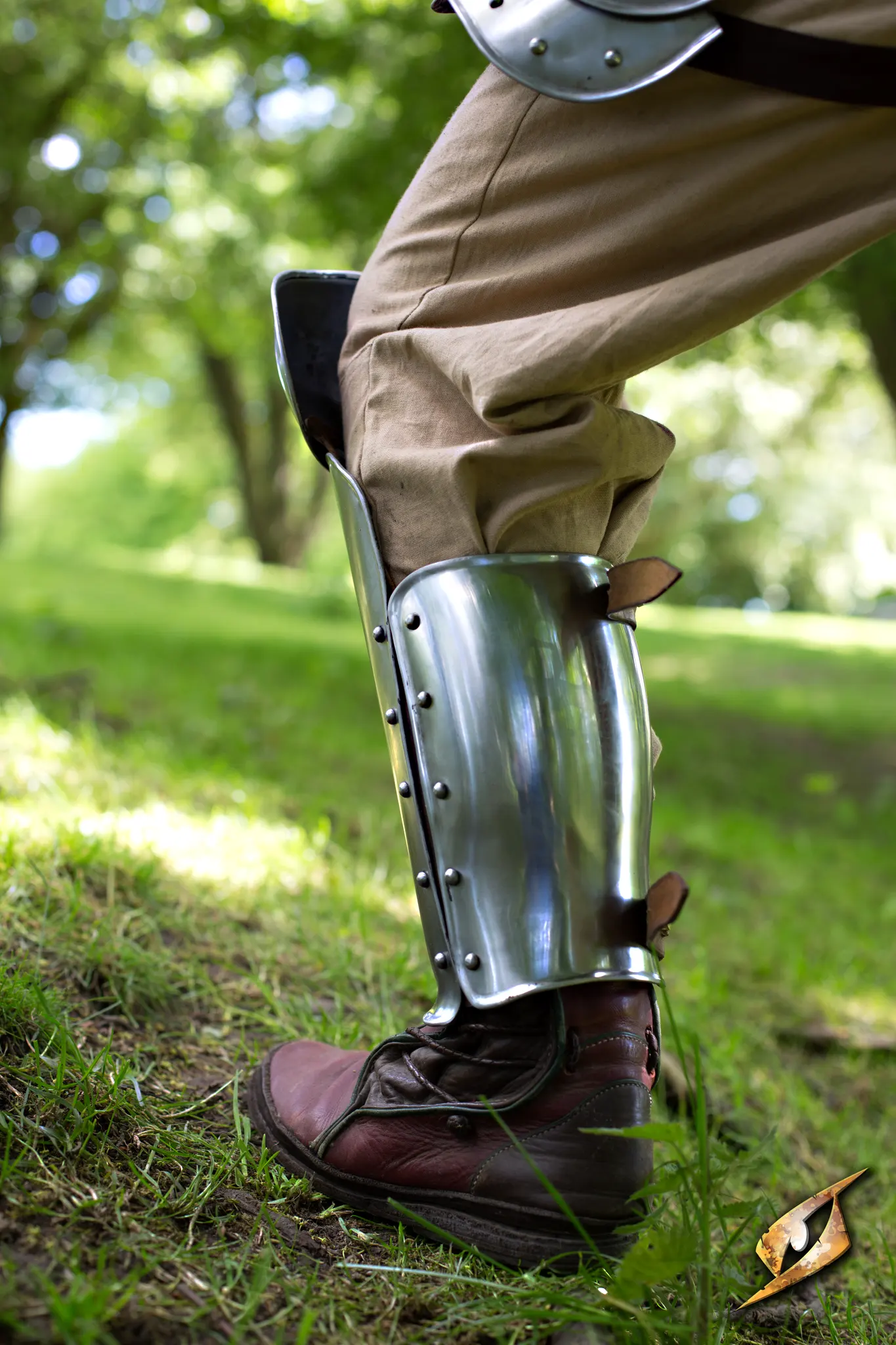 Enclosed Leg Protection - Polished Steel - Image 2