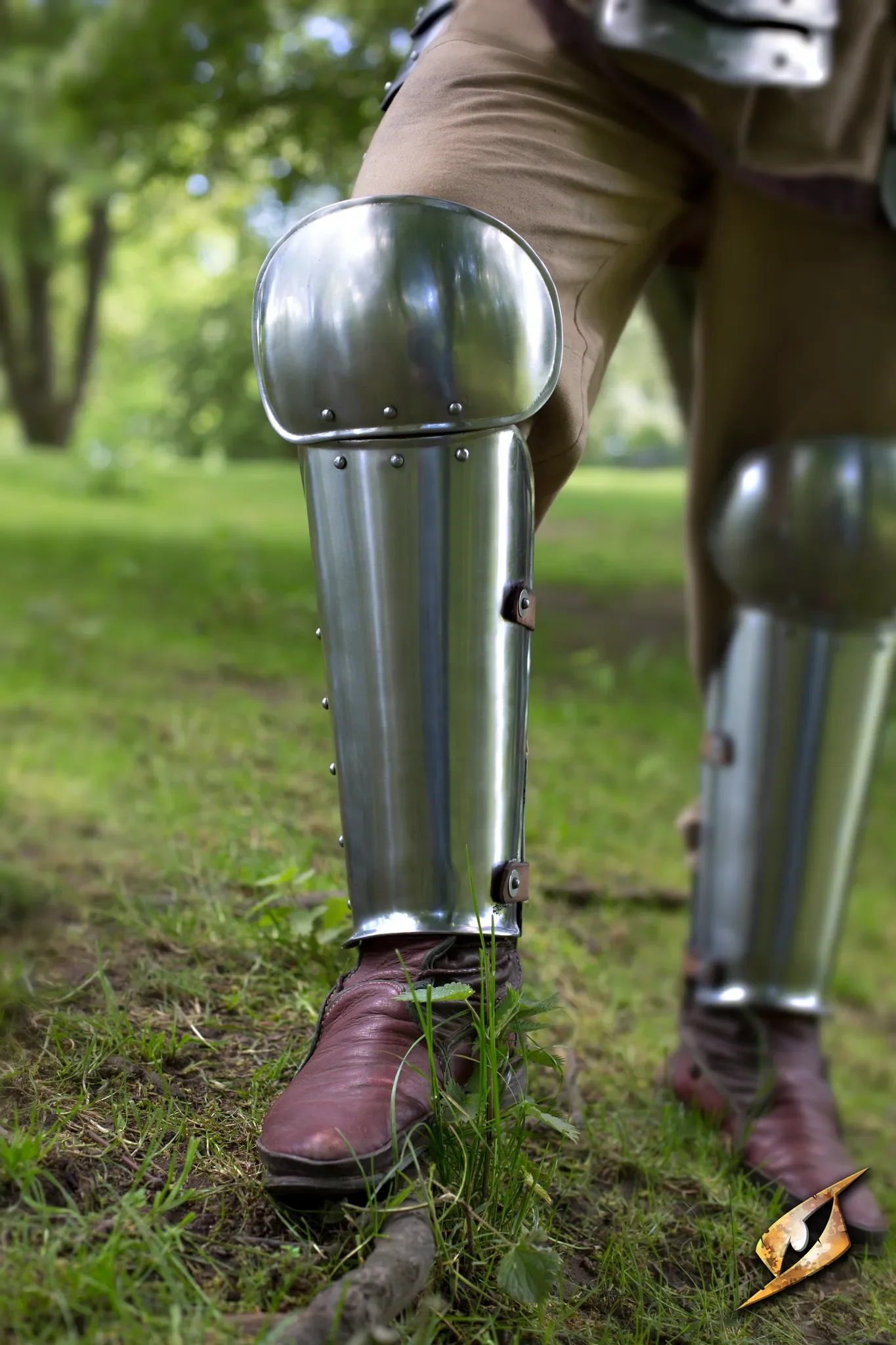 Enclosed Leg Protection - Polished Steel - Image 3