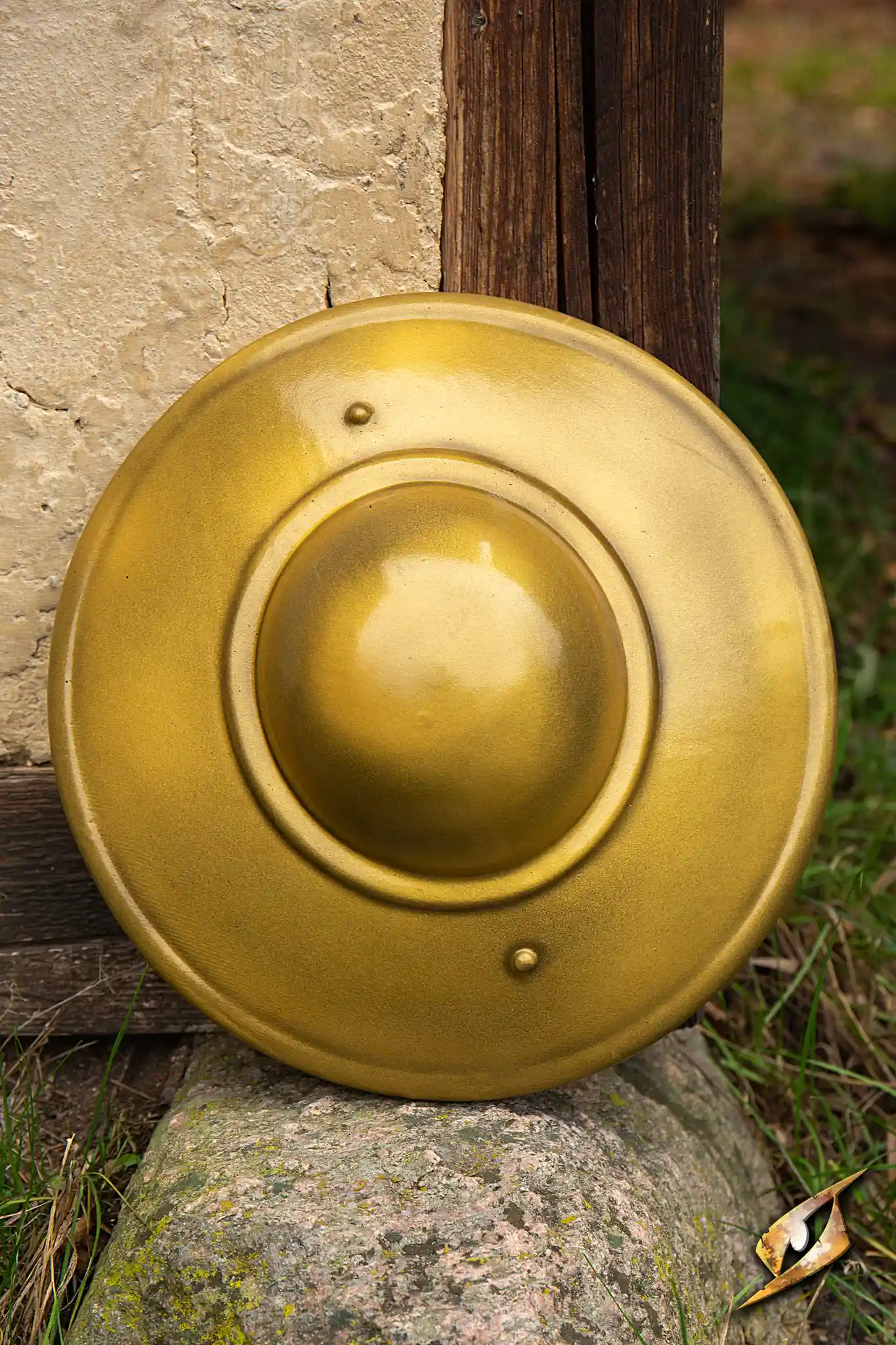 Fencing Buckler - Image 16
