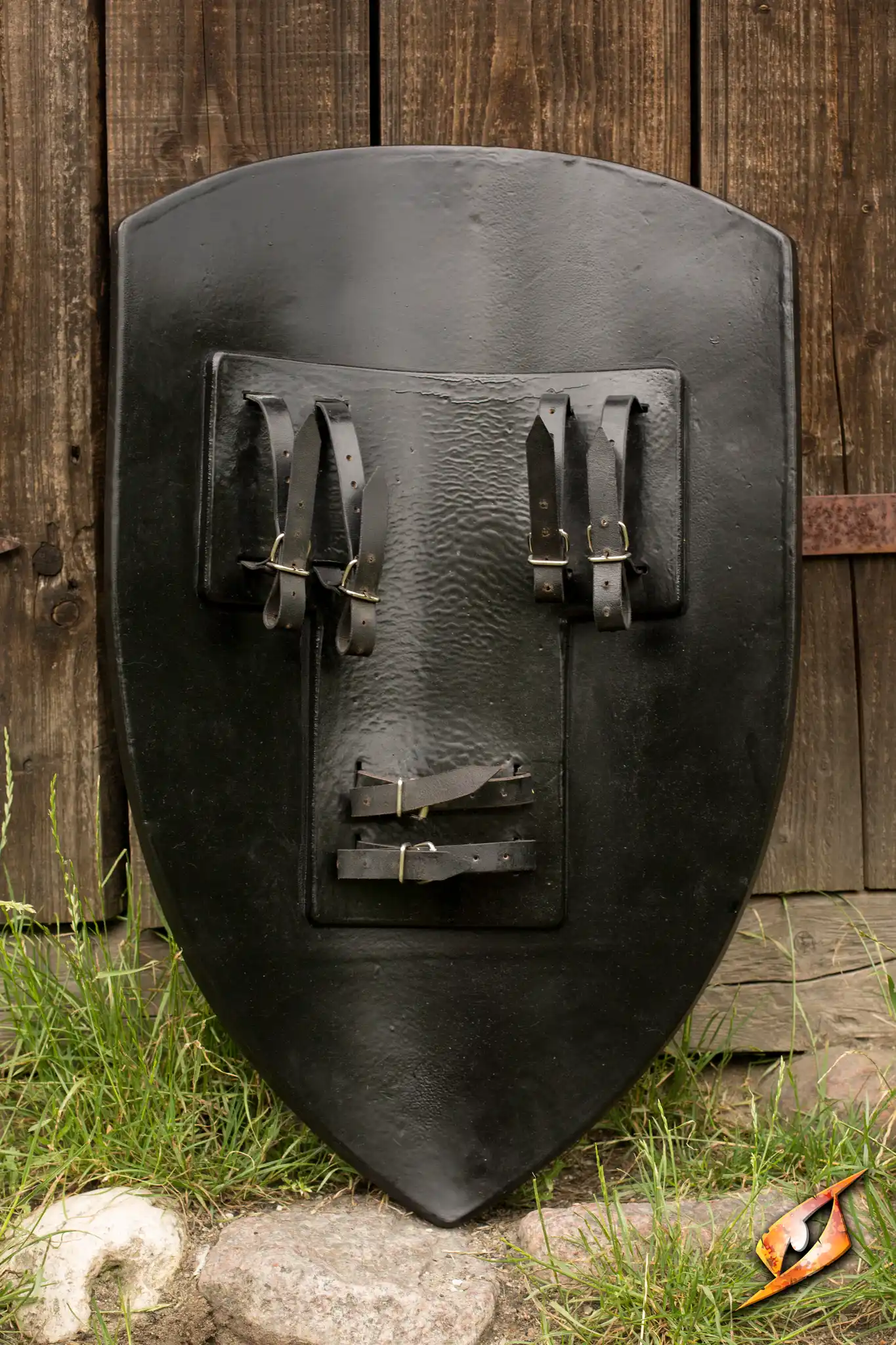 Lion Shield - Image 2