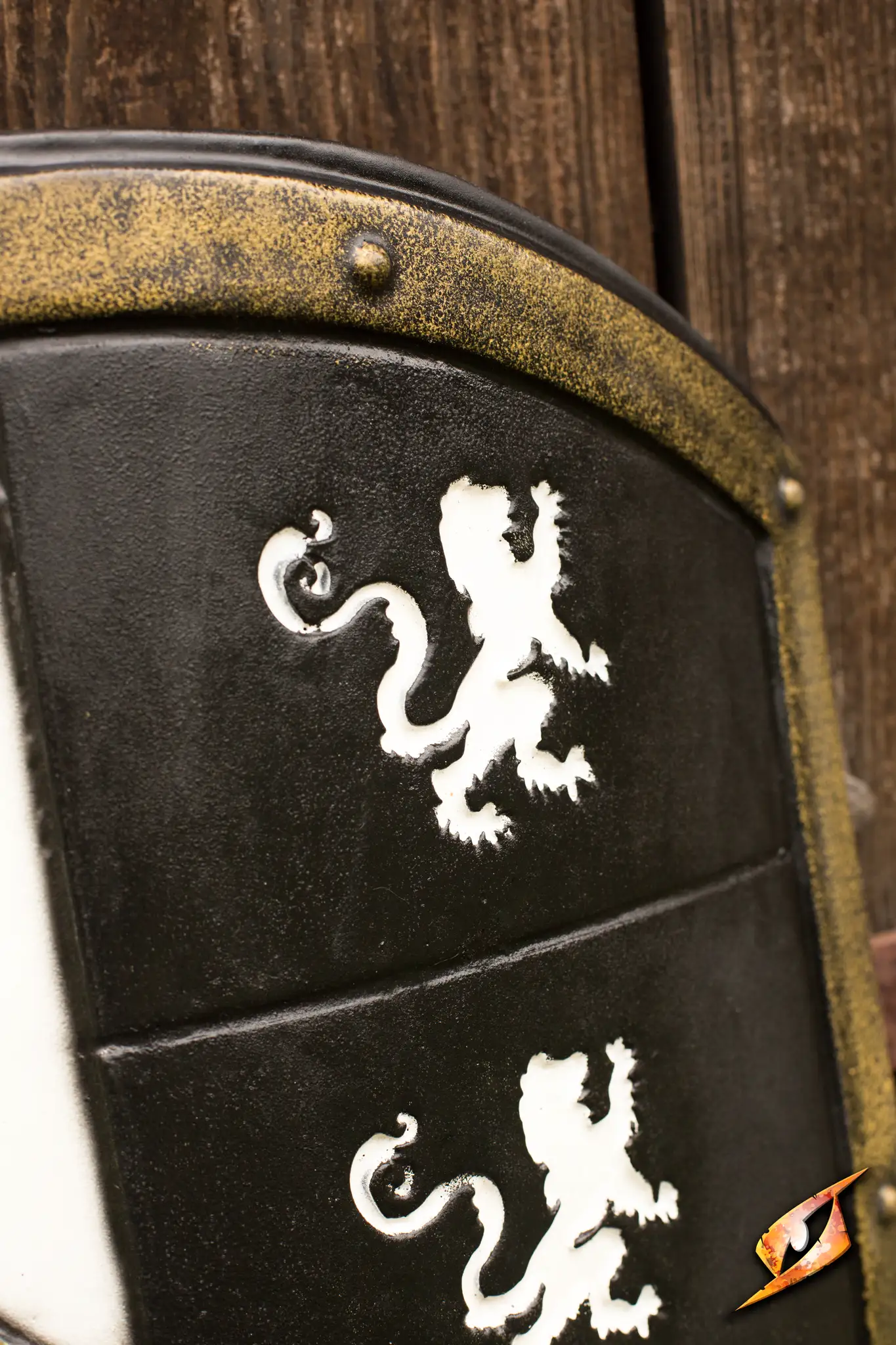 Lion Shield - Image 3