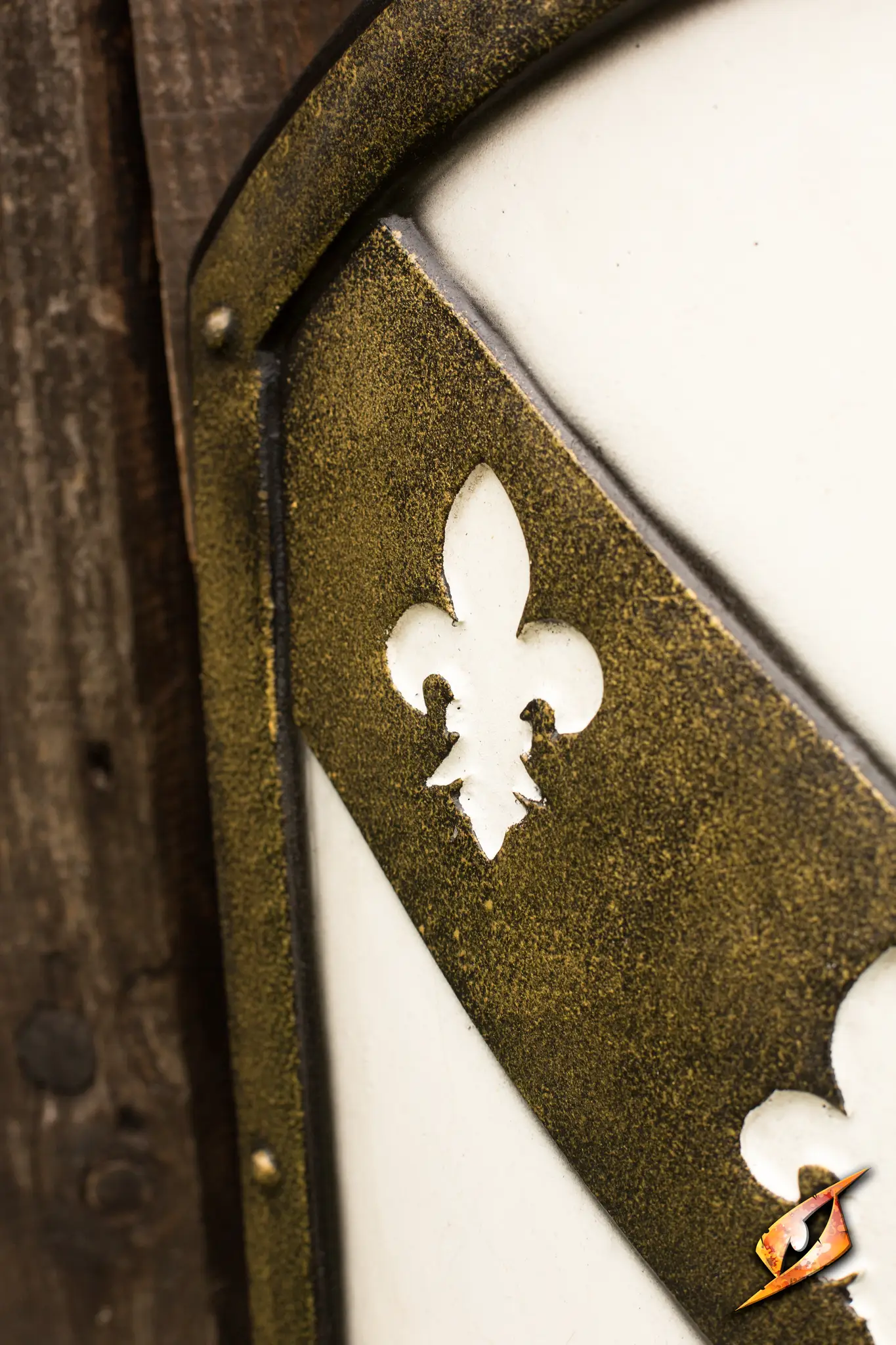Lion Shield - Image 4