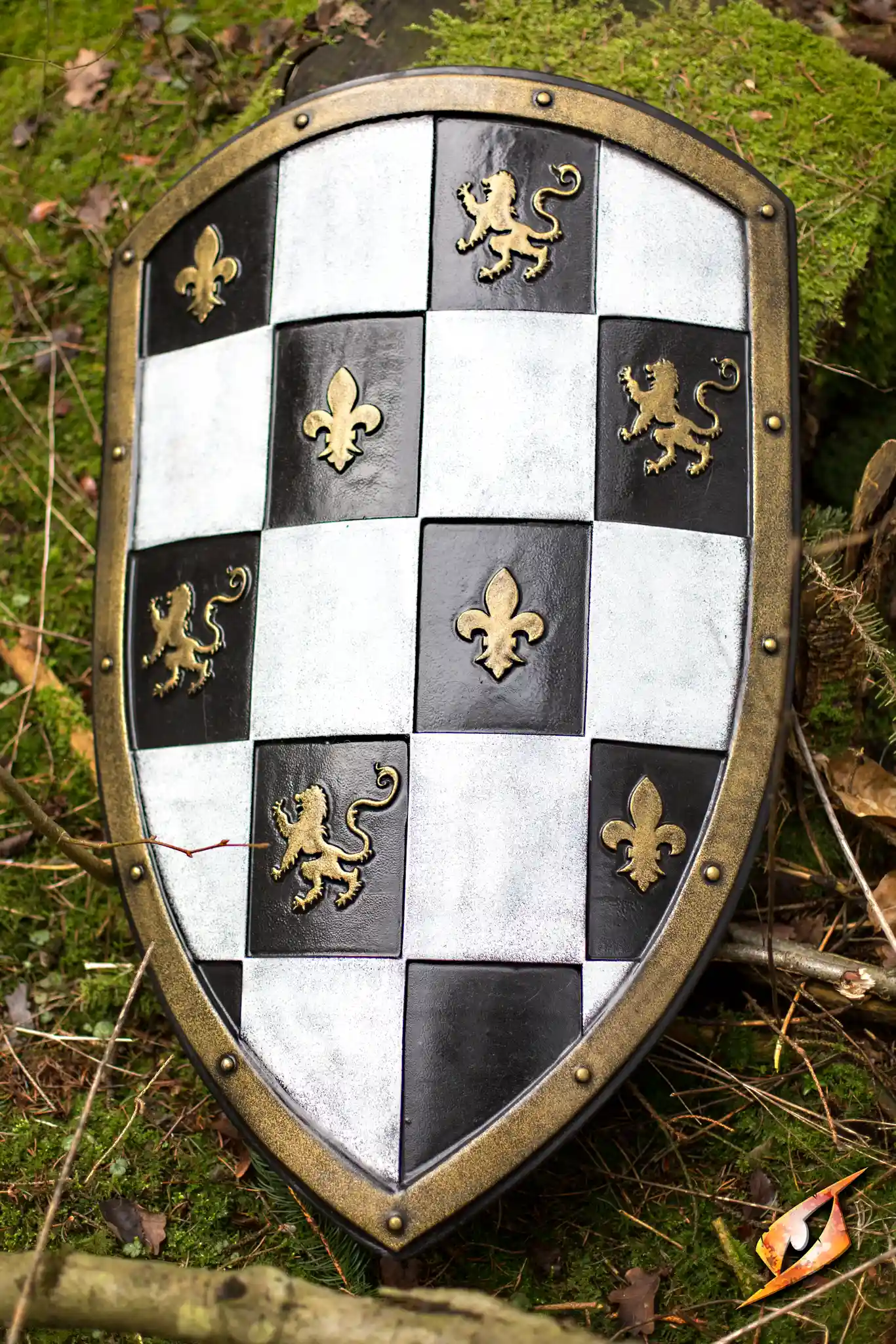 Checkered Shield - Image 4