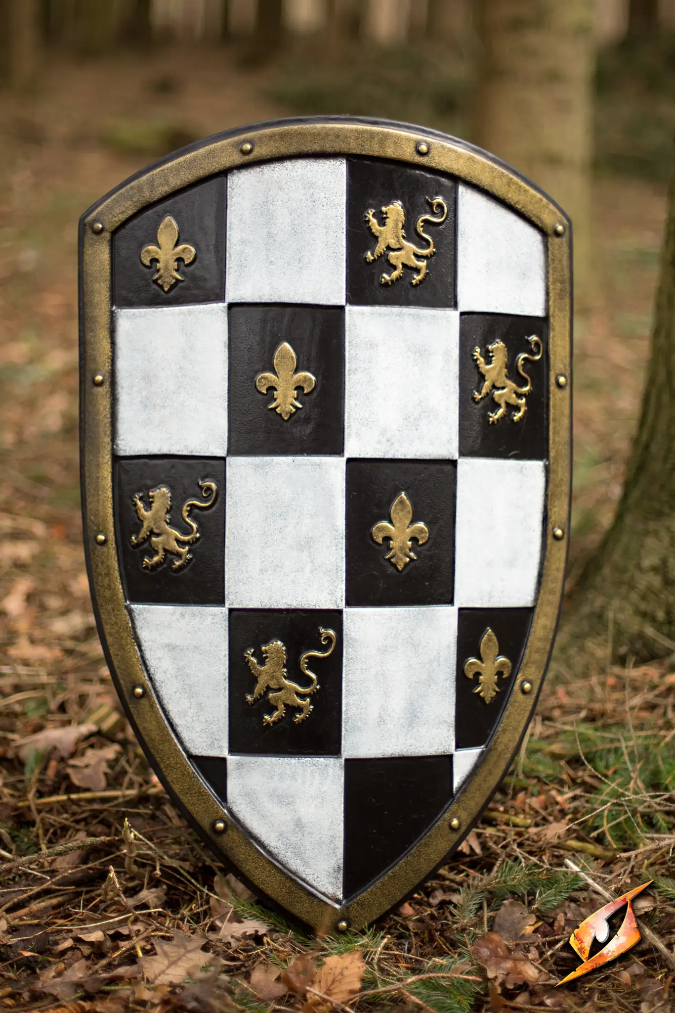 Checkered Shield - Image 5