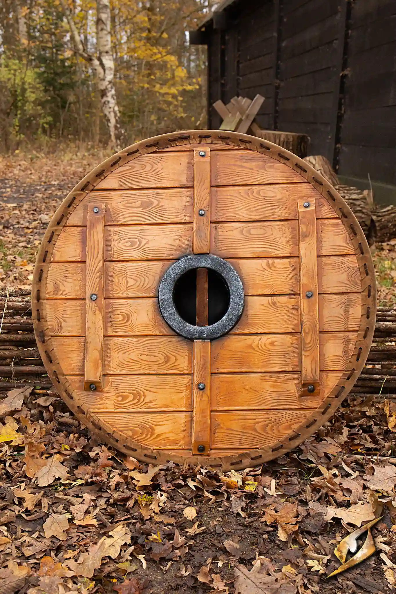 Thegn Shield - Image 27