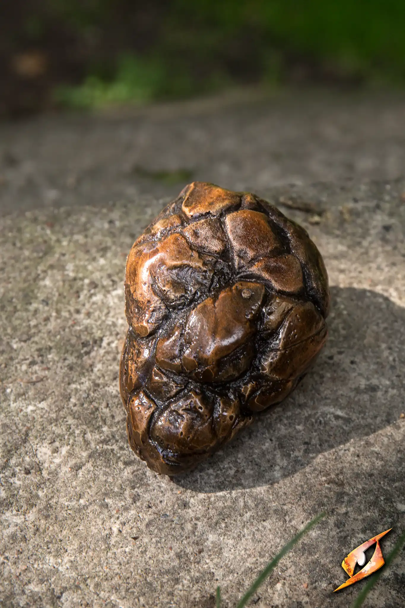 Stone - Image 5