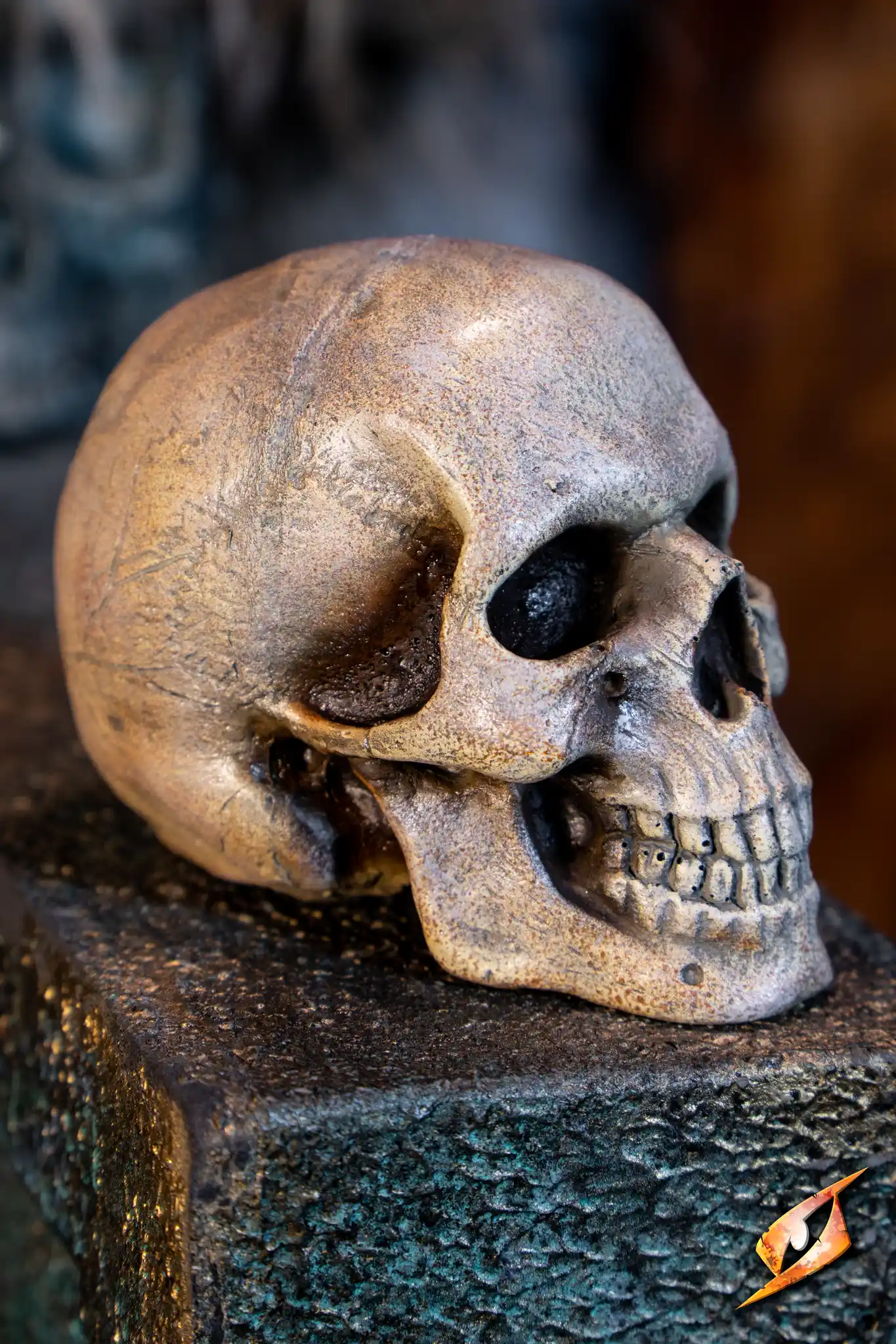 Medium Skull - Image 14