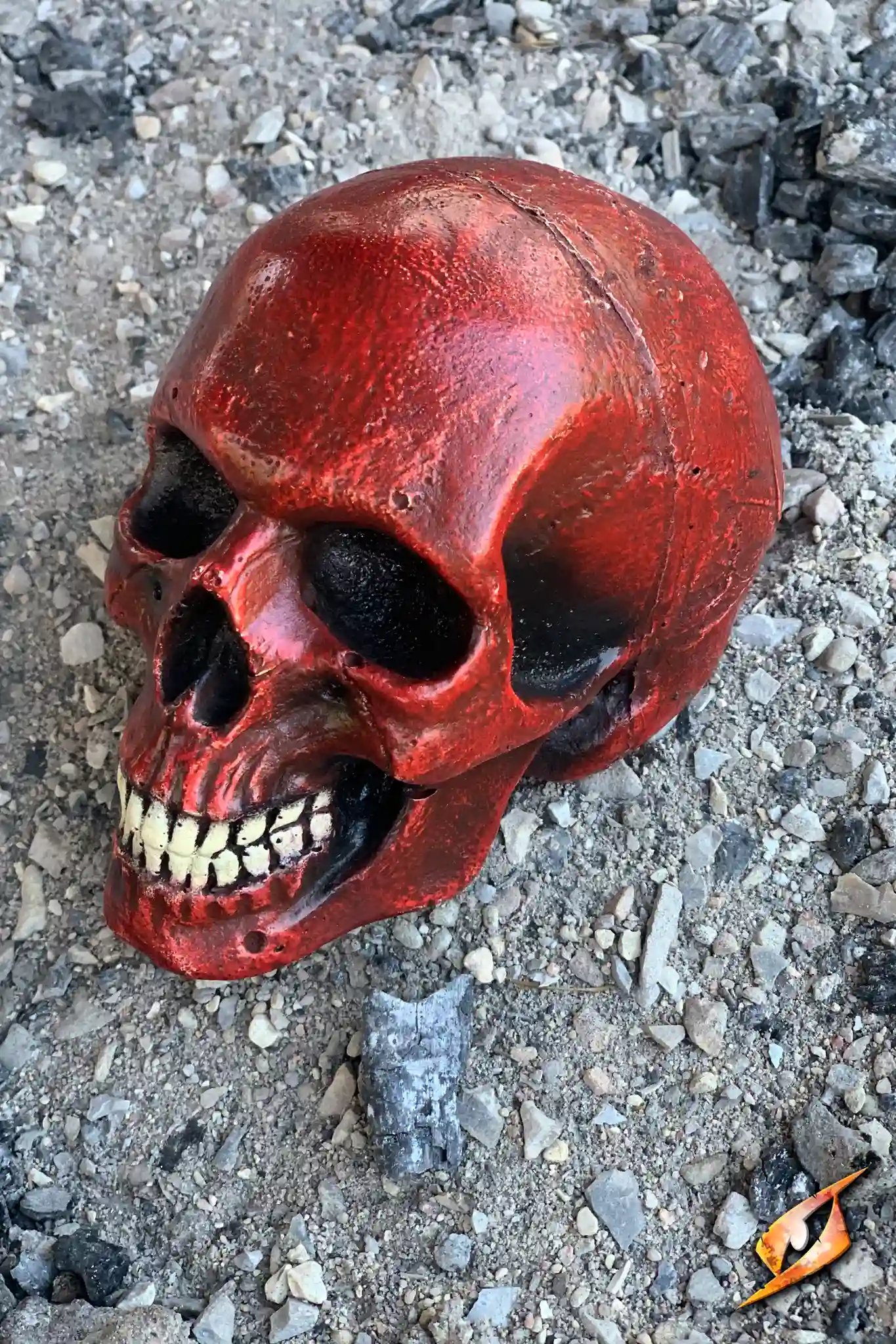 Medium Skull - Image 5