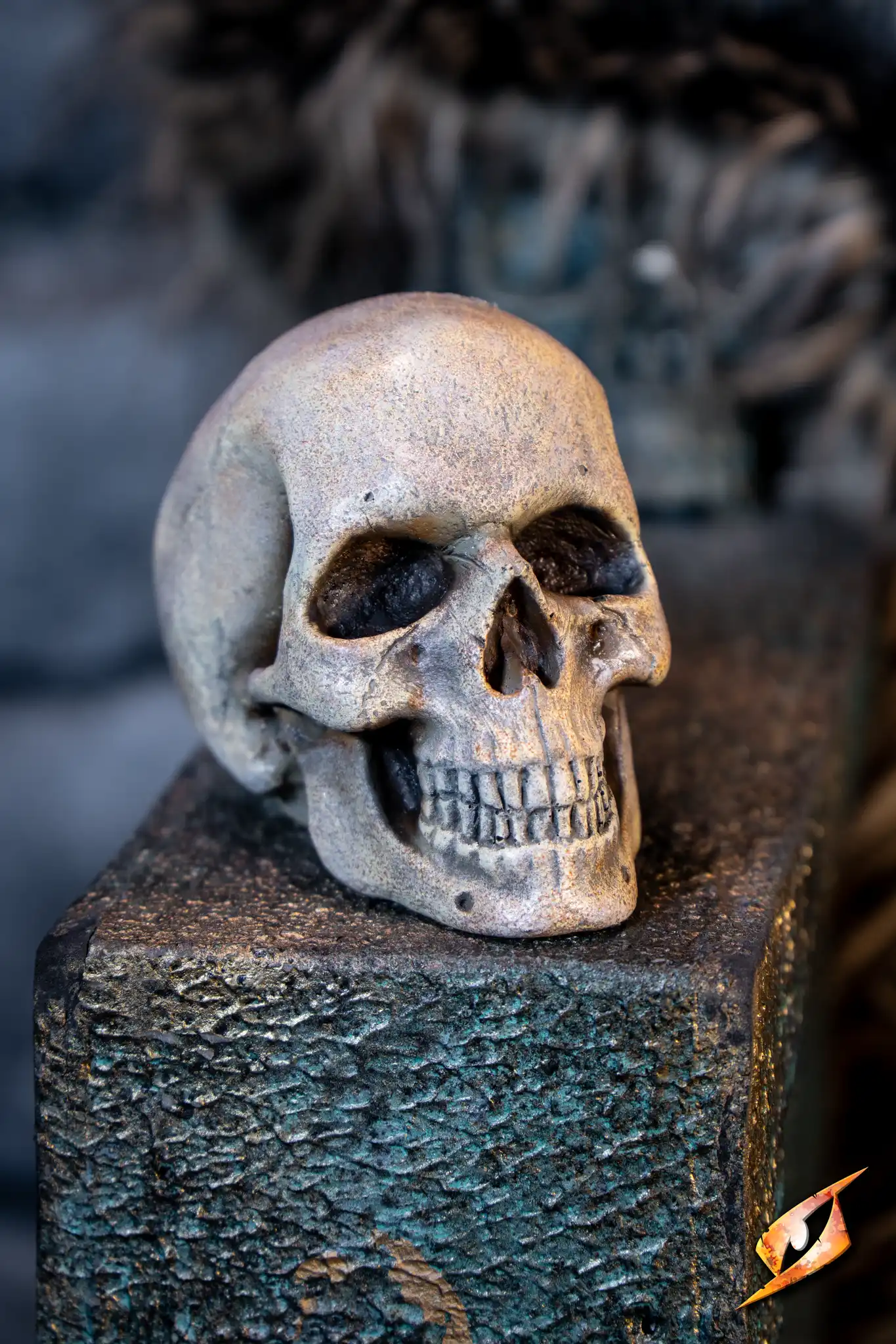 Medium Skull - Image 8