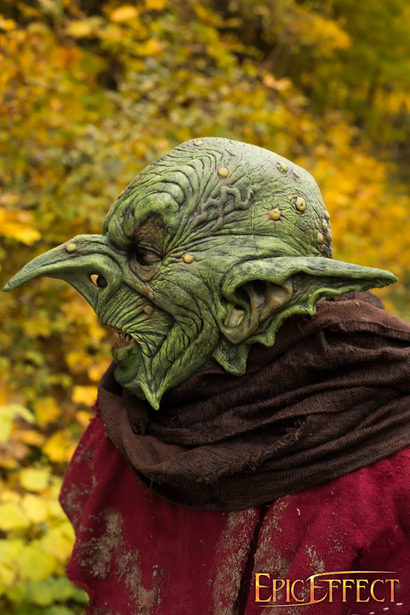Goblin Overlord - Image 5