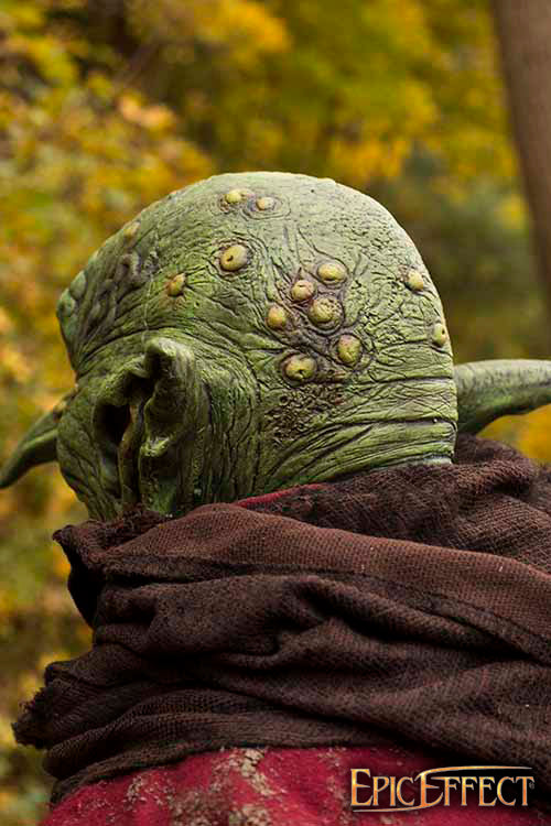 Goblin Overlord - Image 8