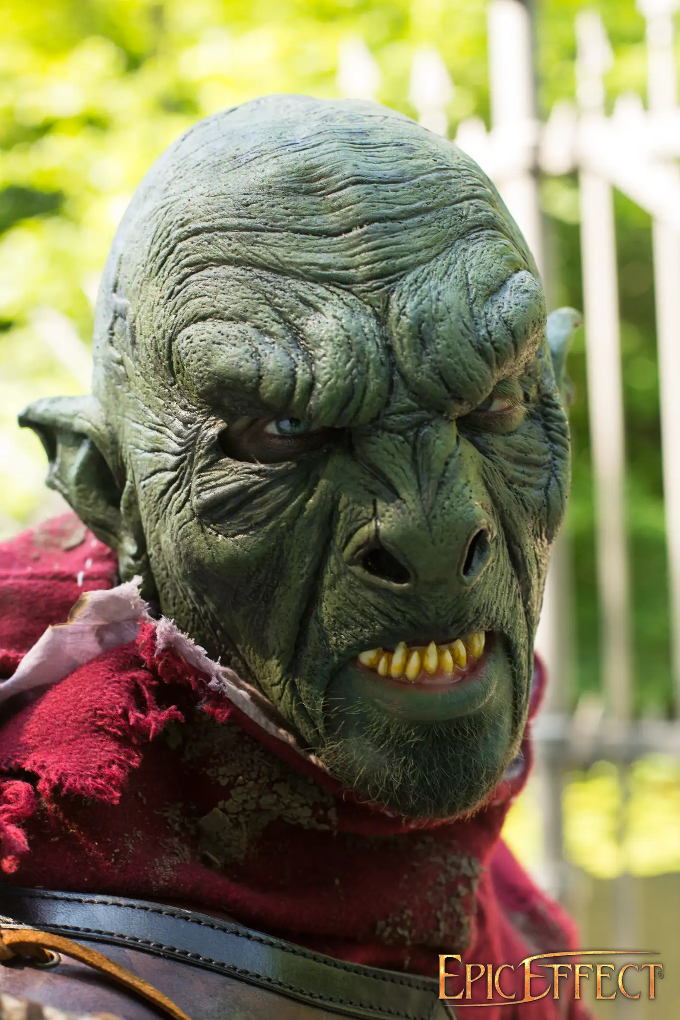 Beast Orc - Image 12