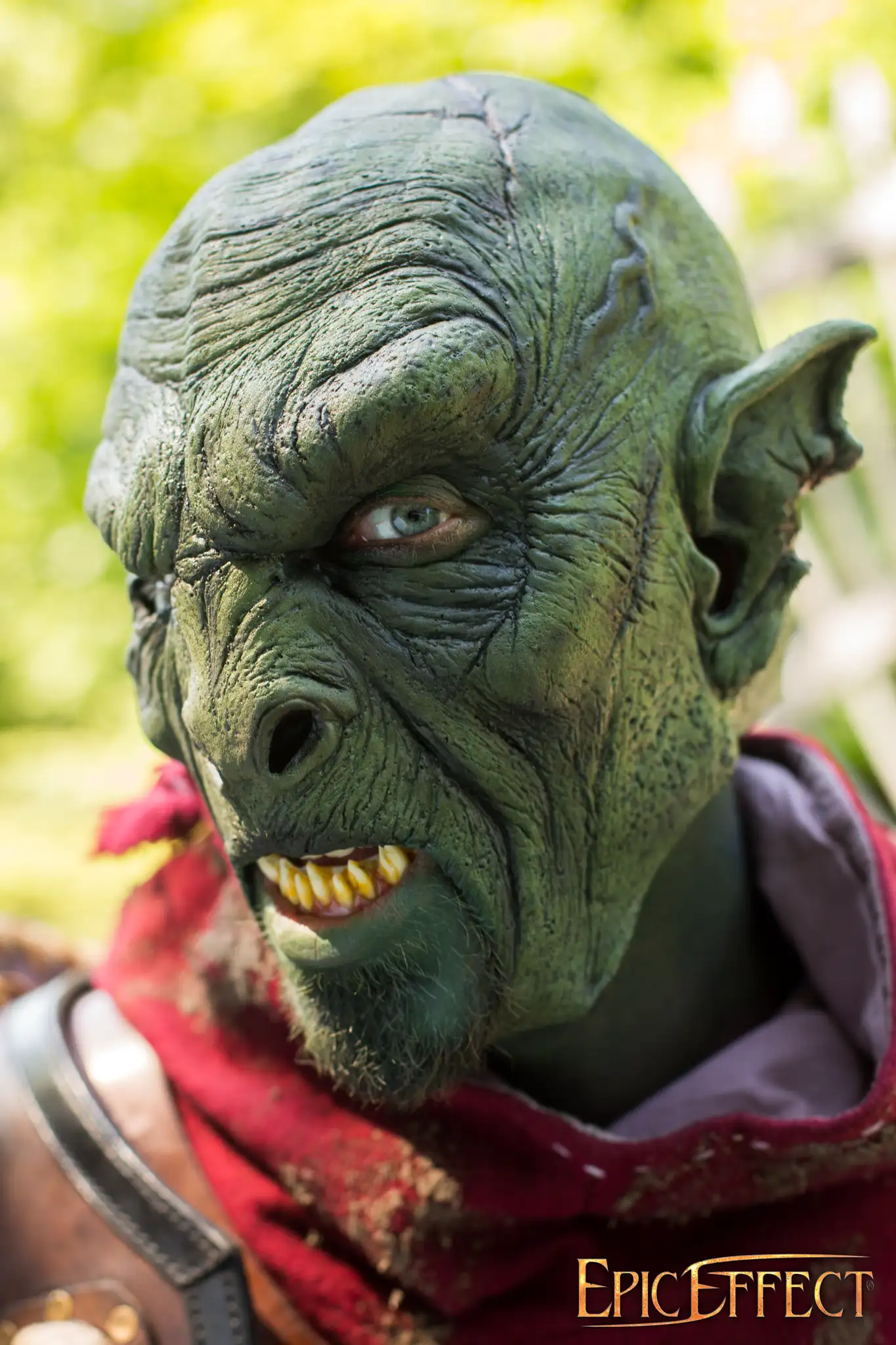 Beast Orc - Image 13