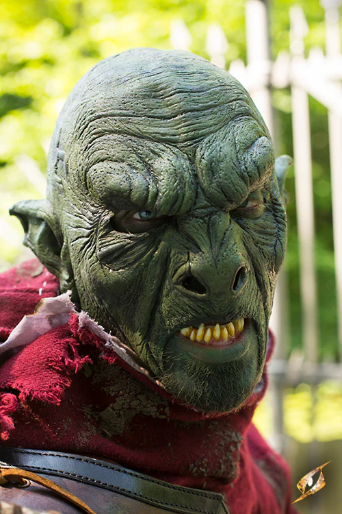 Beast Orc - Image 2