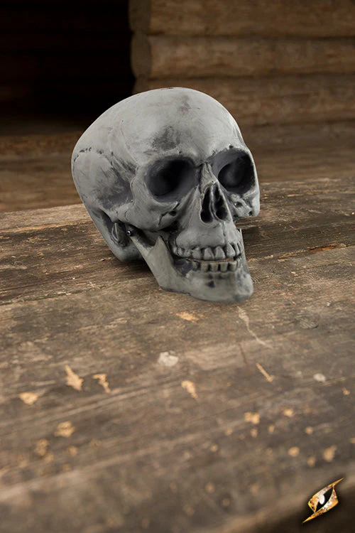 Skull 21 cm - Image 3
