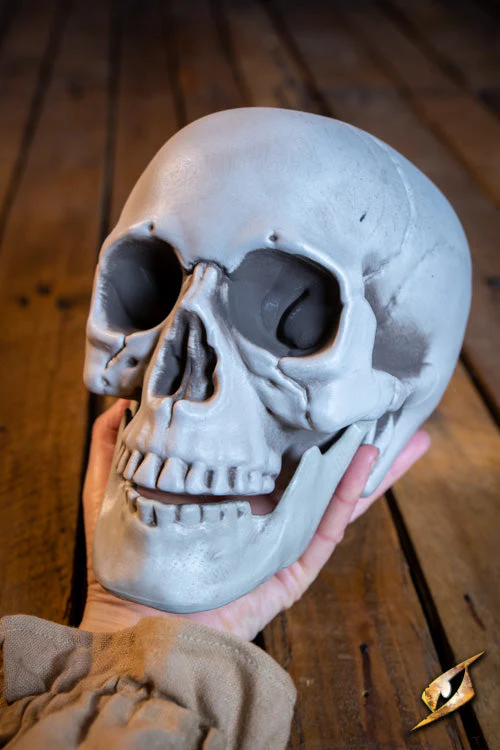 Skull 21 cm - Image 4