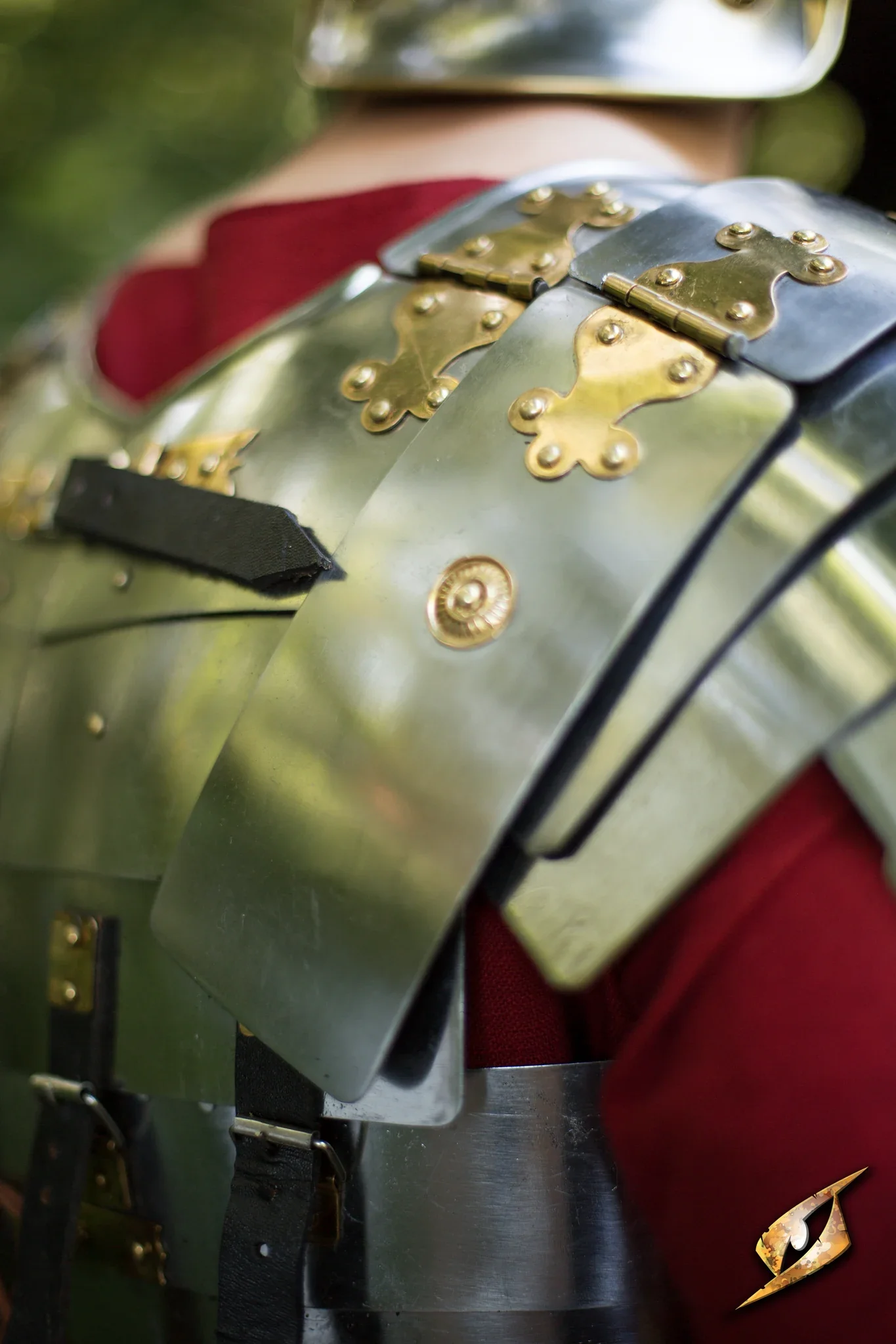 Roman Legion - Image 4