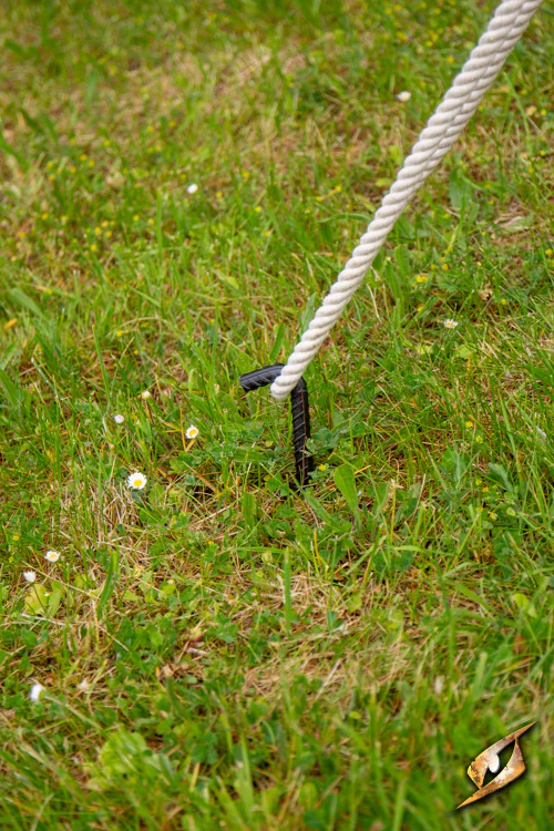 Iron Pegs - Image 3