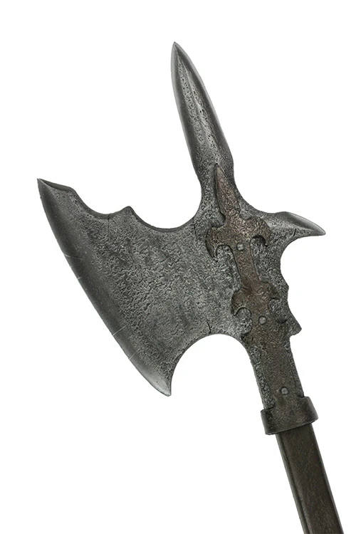 Falcon Head - Image 6