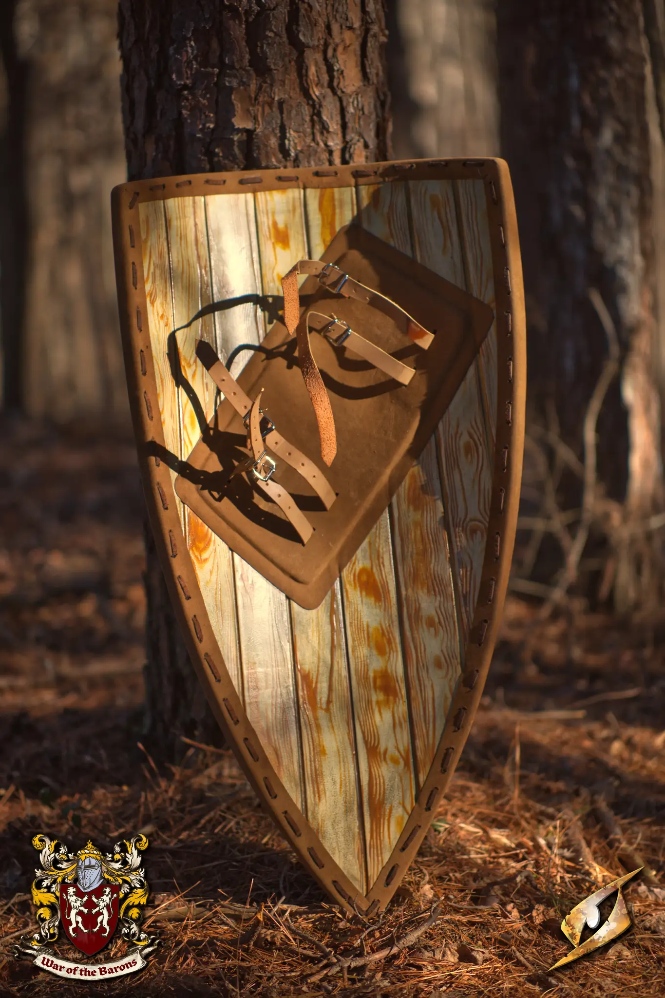 Baron's Shield - Image 3