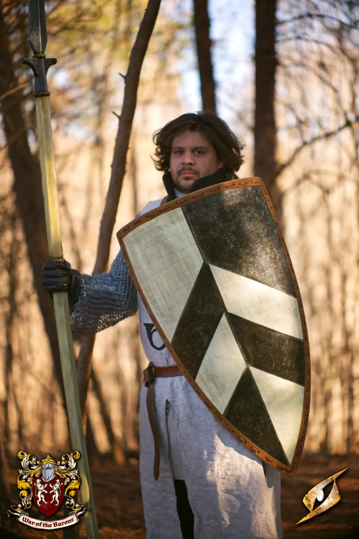 Baron's Shield - Image 7