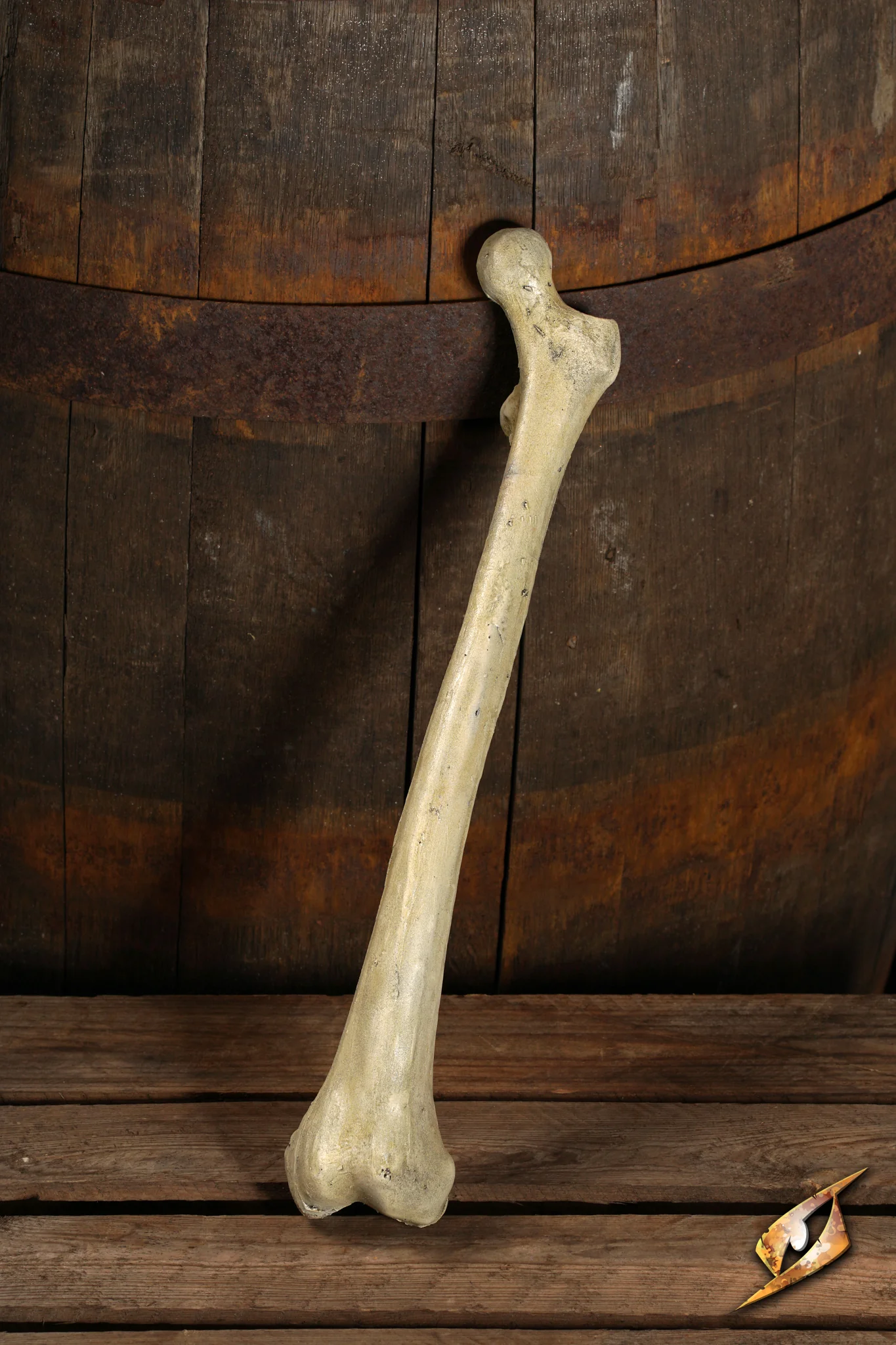 Thigh Bone - Image 4