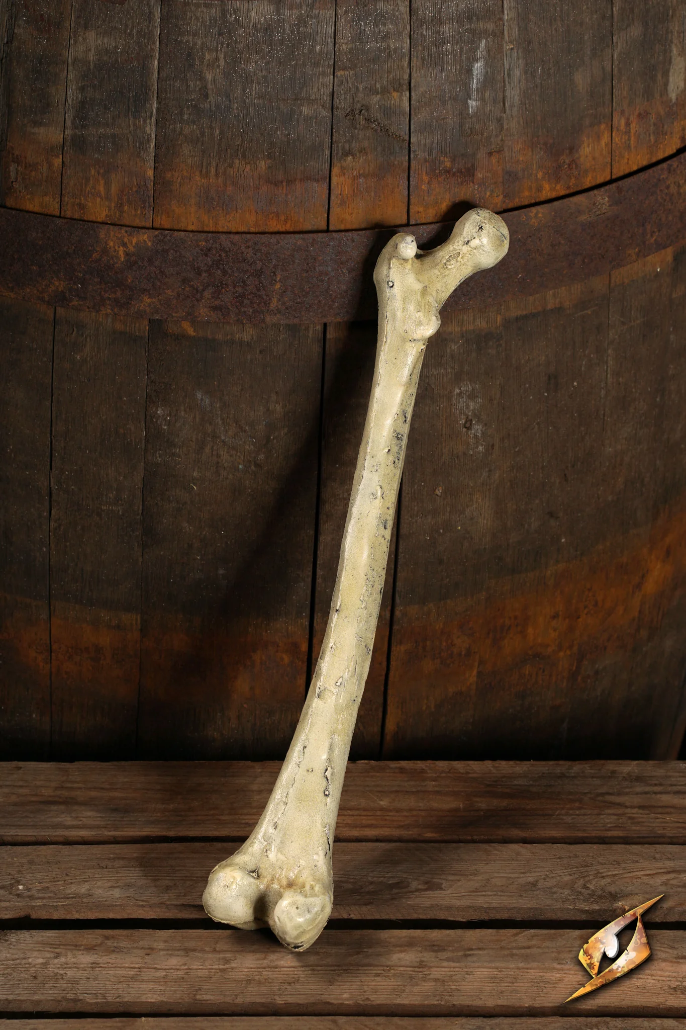 Thigh Bone - Image 9