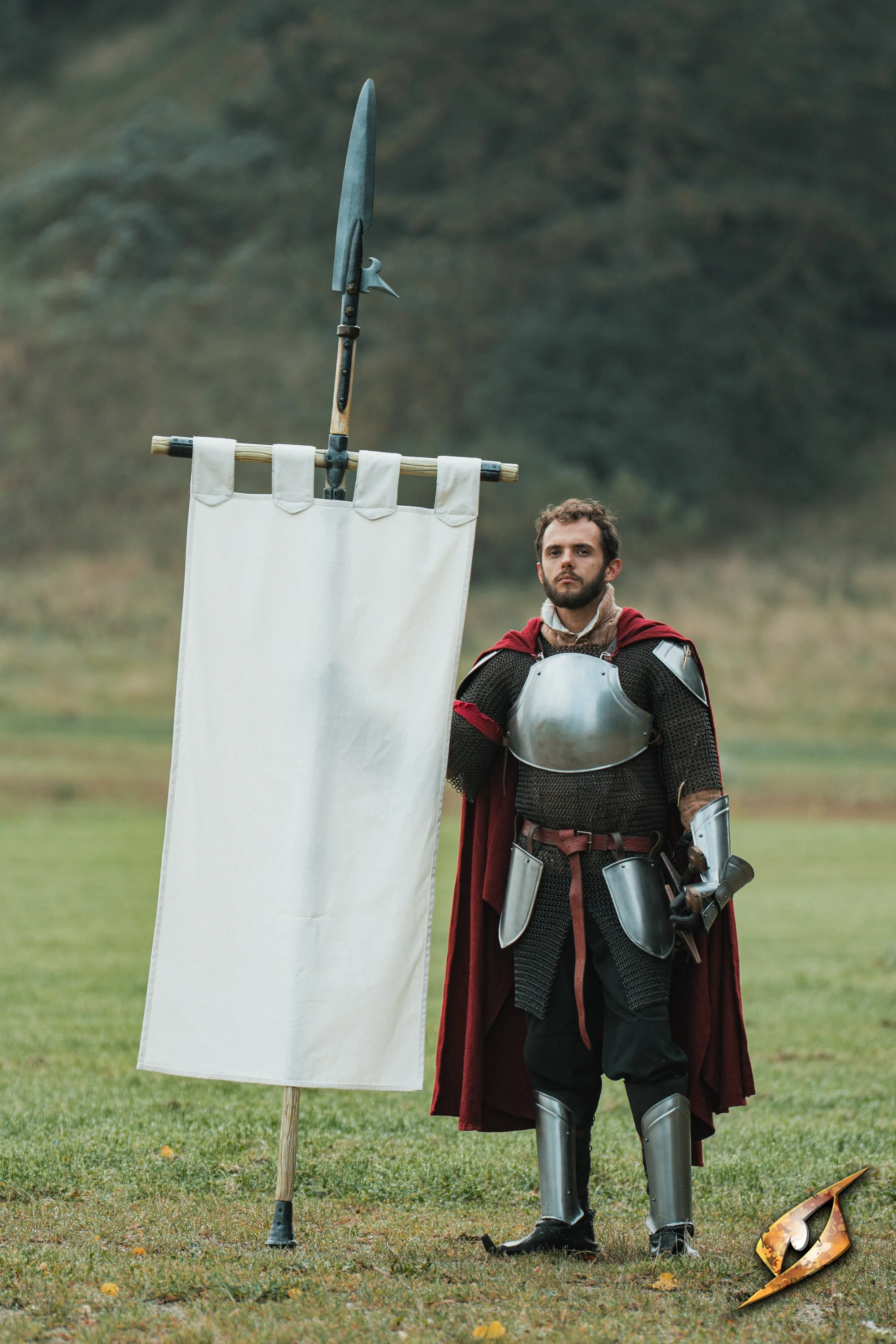 Complete Battle Standard Set - Fauchard Top - Image 8
