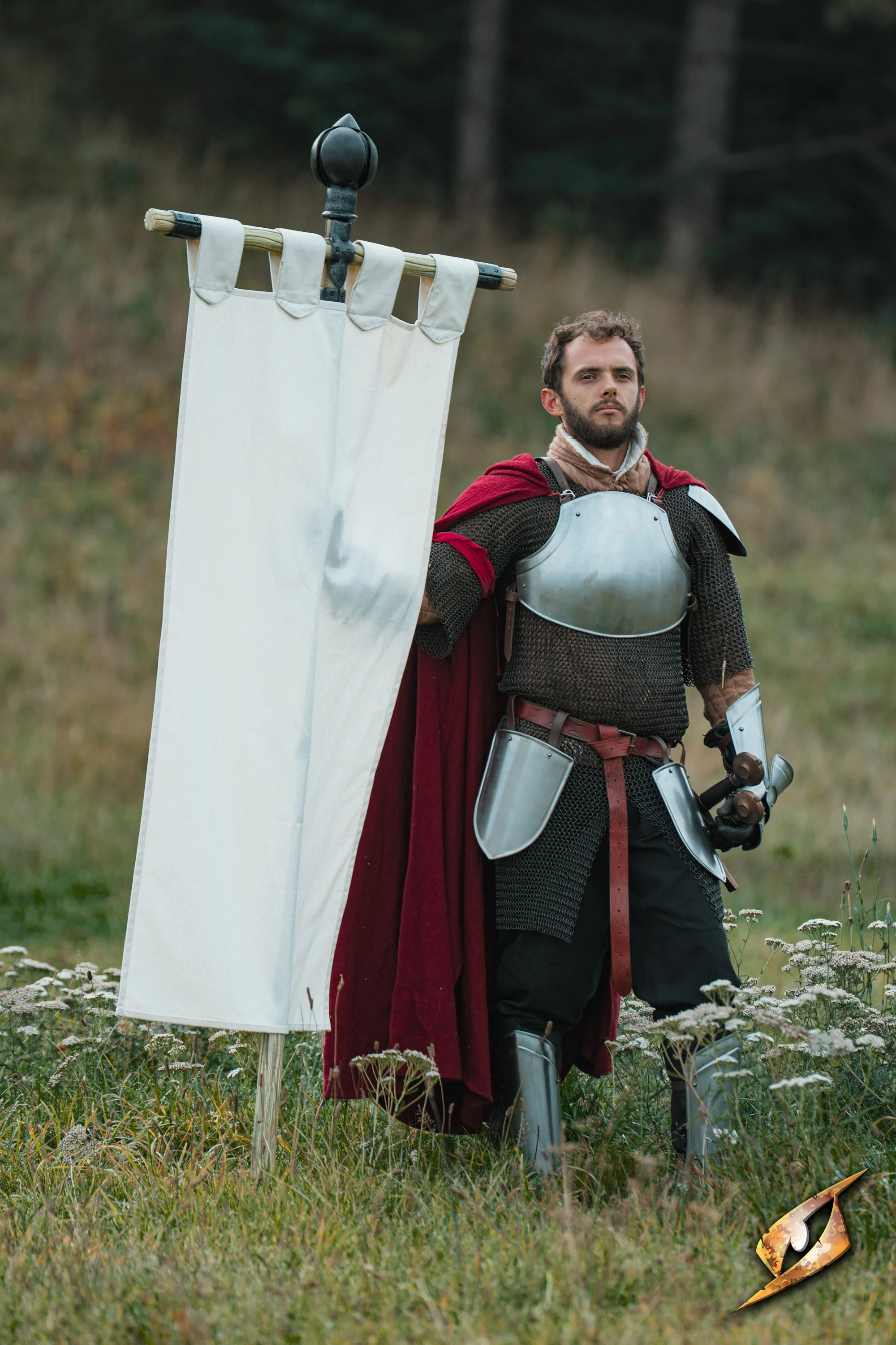Complete Battle Standard Set - Lord's Orb Top - Image 13