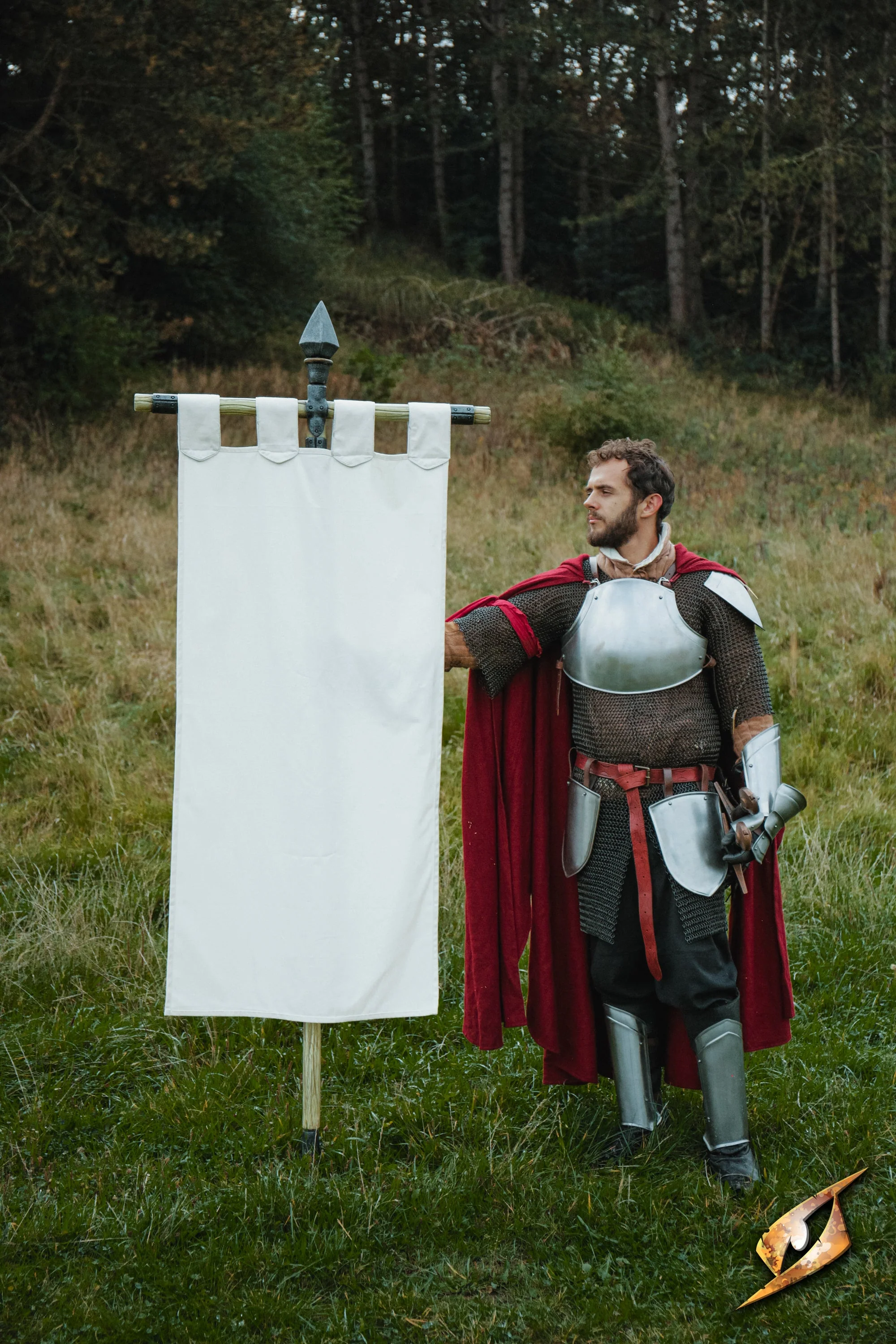 Complete Battle Standard Set - Spear Top - Image 4