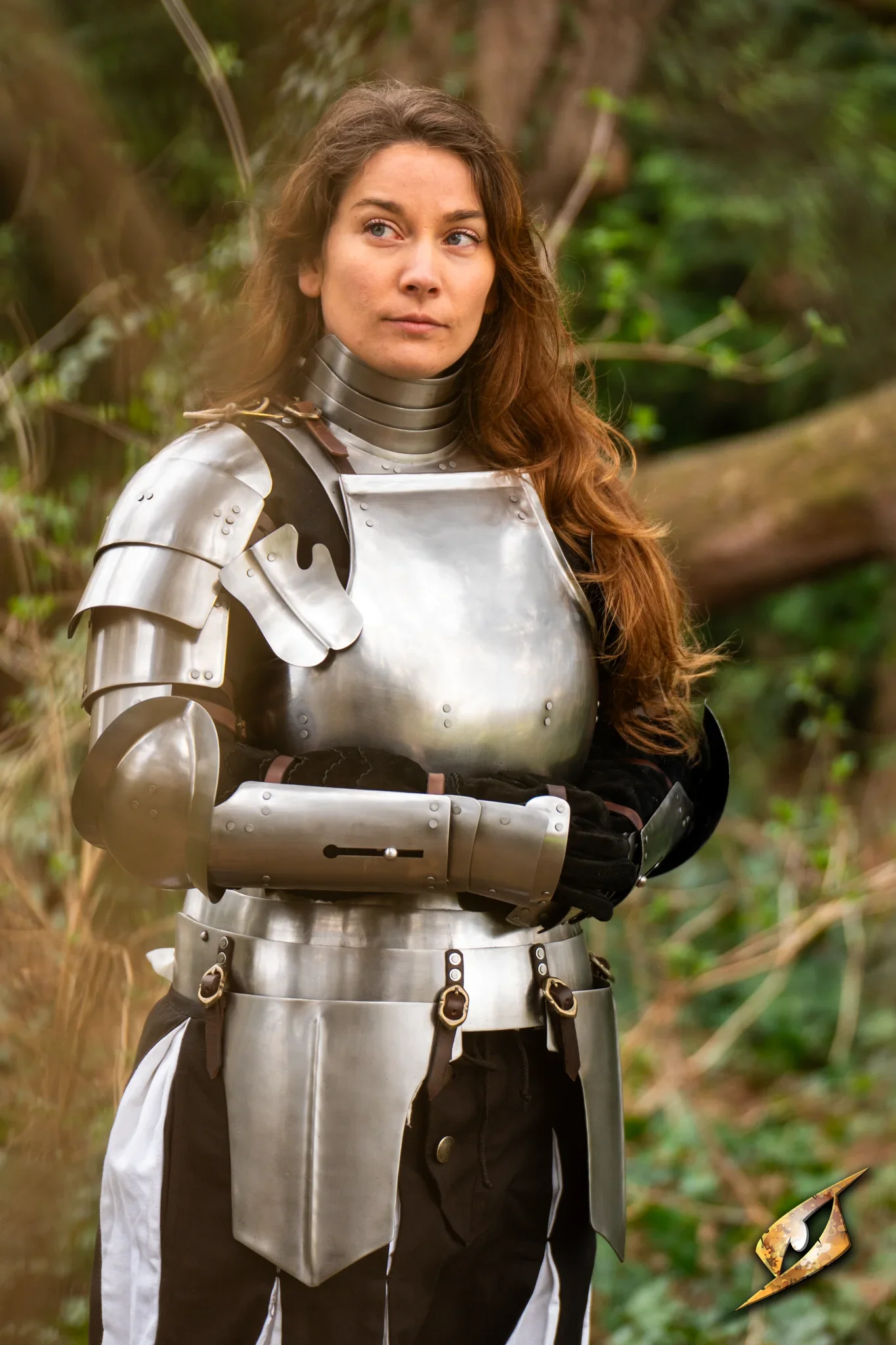 Complete Landsknecht Armour Set - Image 10