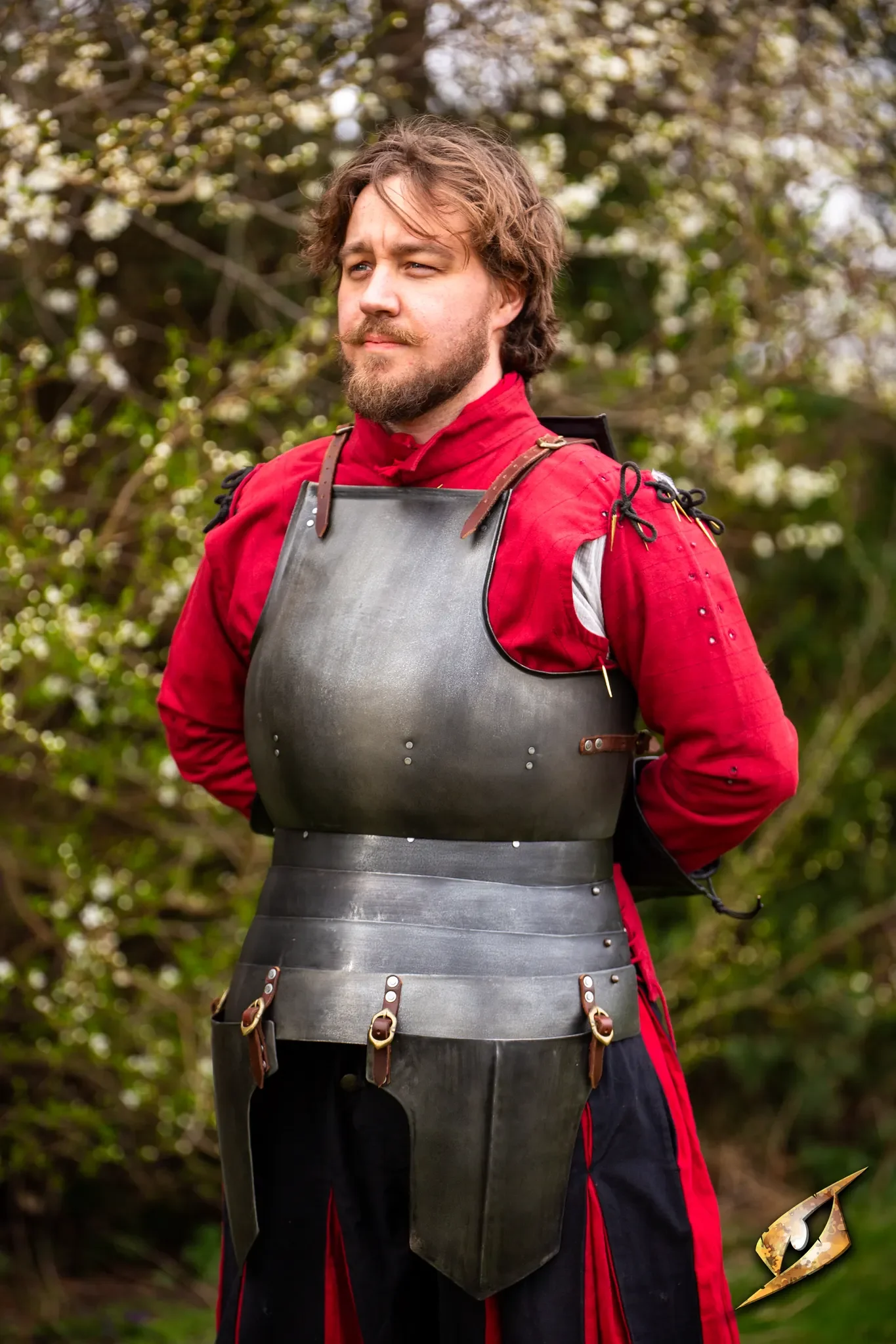 Complete Landsknecht Armour Set - Image 11