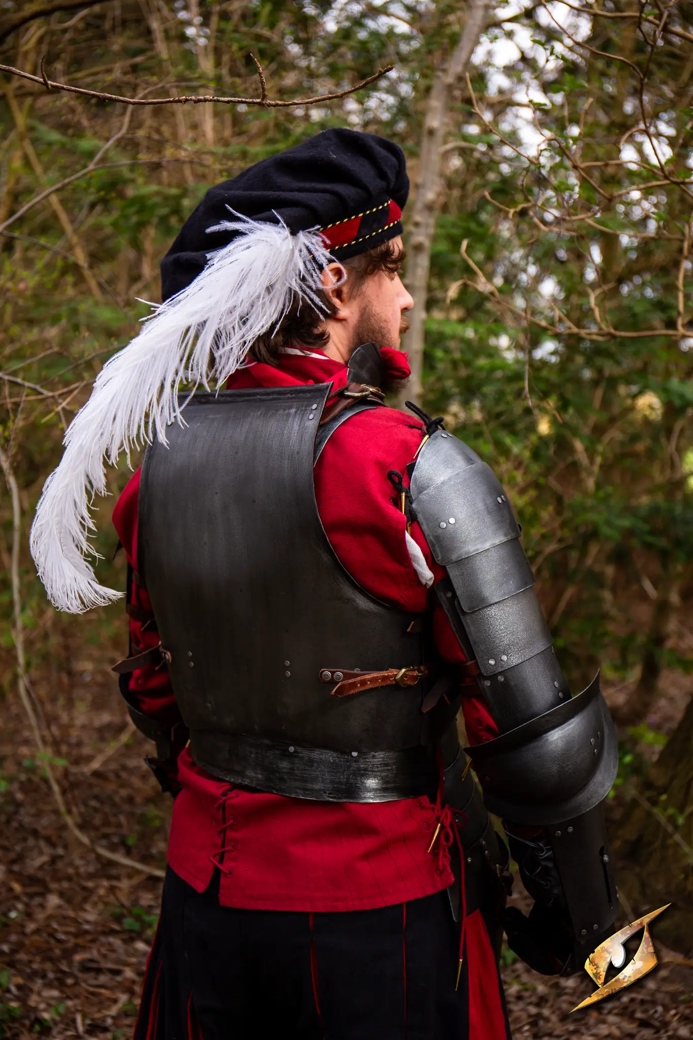 Complete Landsknecht Armour Set - Image 12
