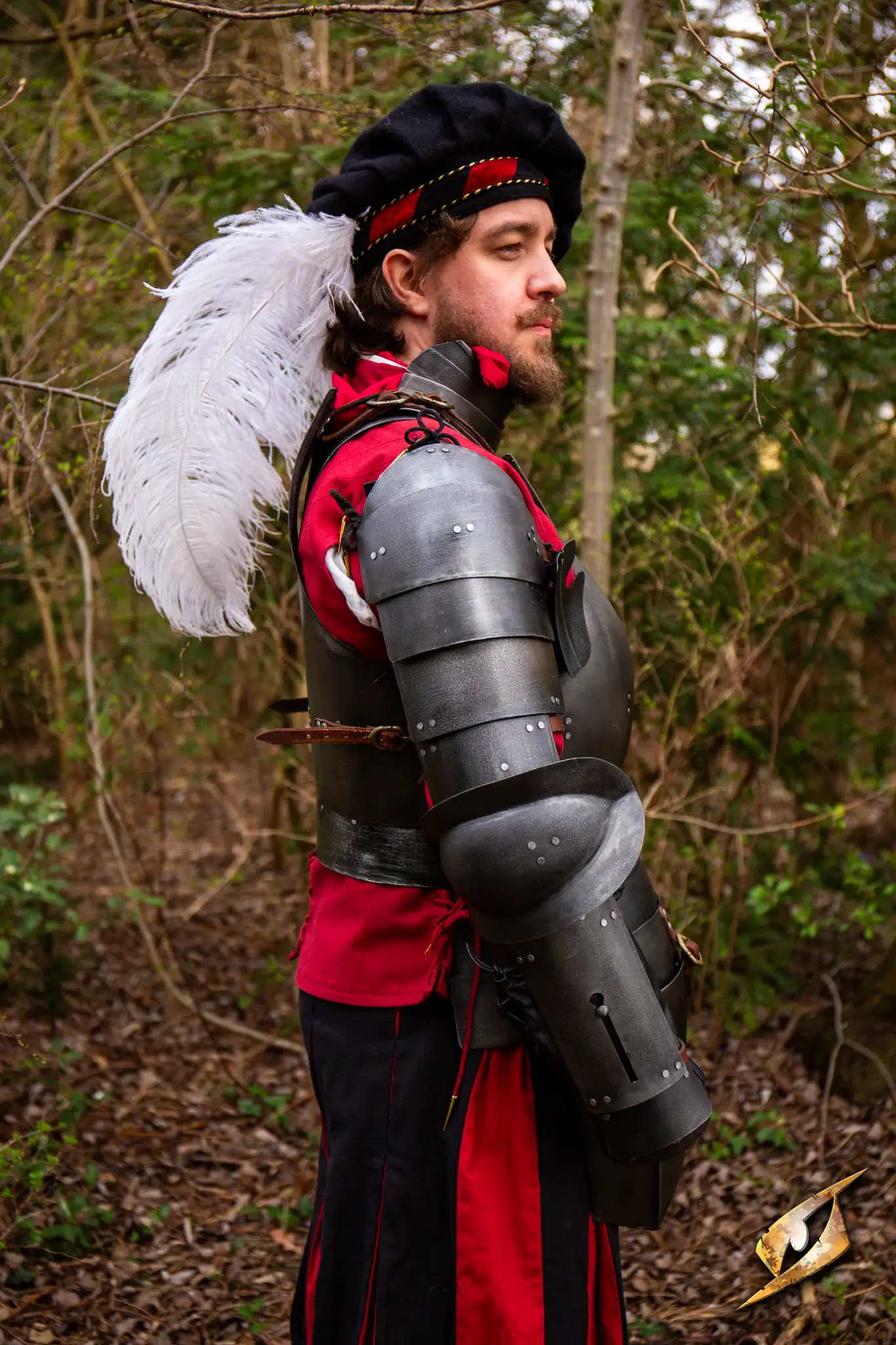 Complete Landsknecht Armour Set - Image 13