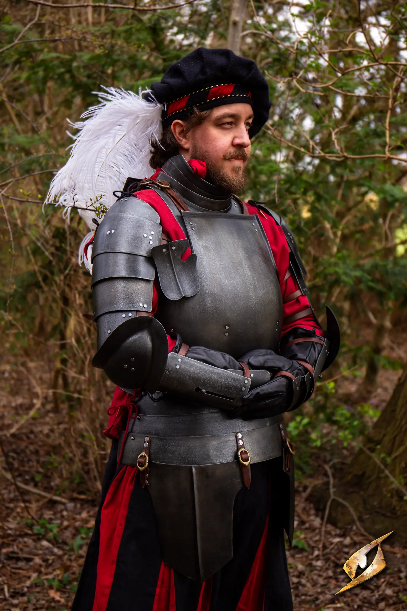 Complete Landsknecht Armour Set - Image 17