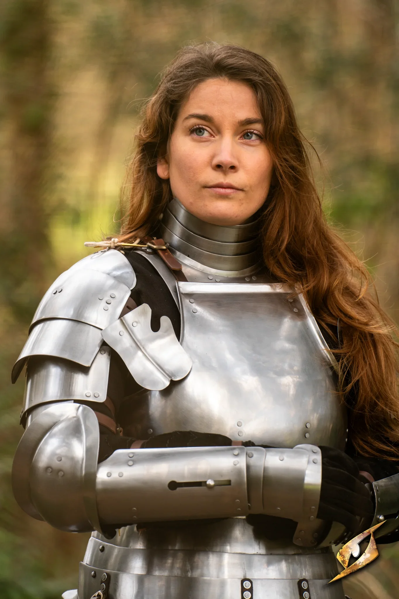 Complete Landsknecht Armour Set - Image 3