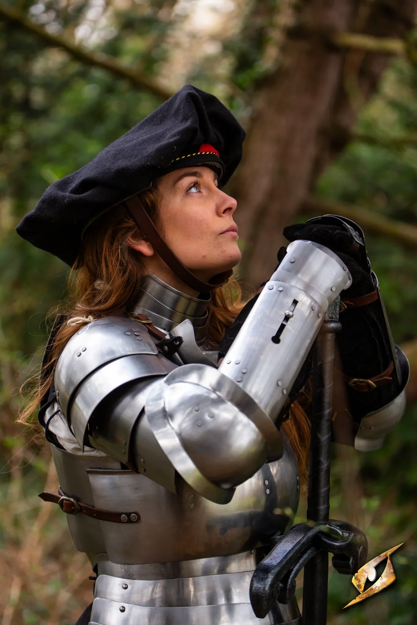Complete Landsknecht Armour Set - Image 4