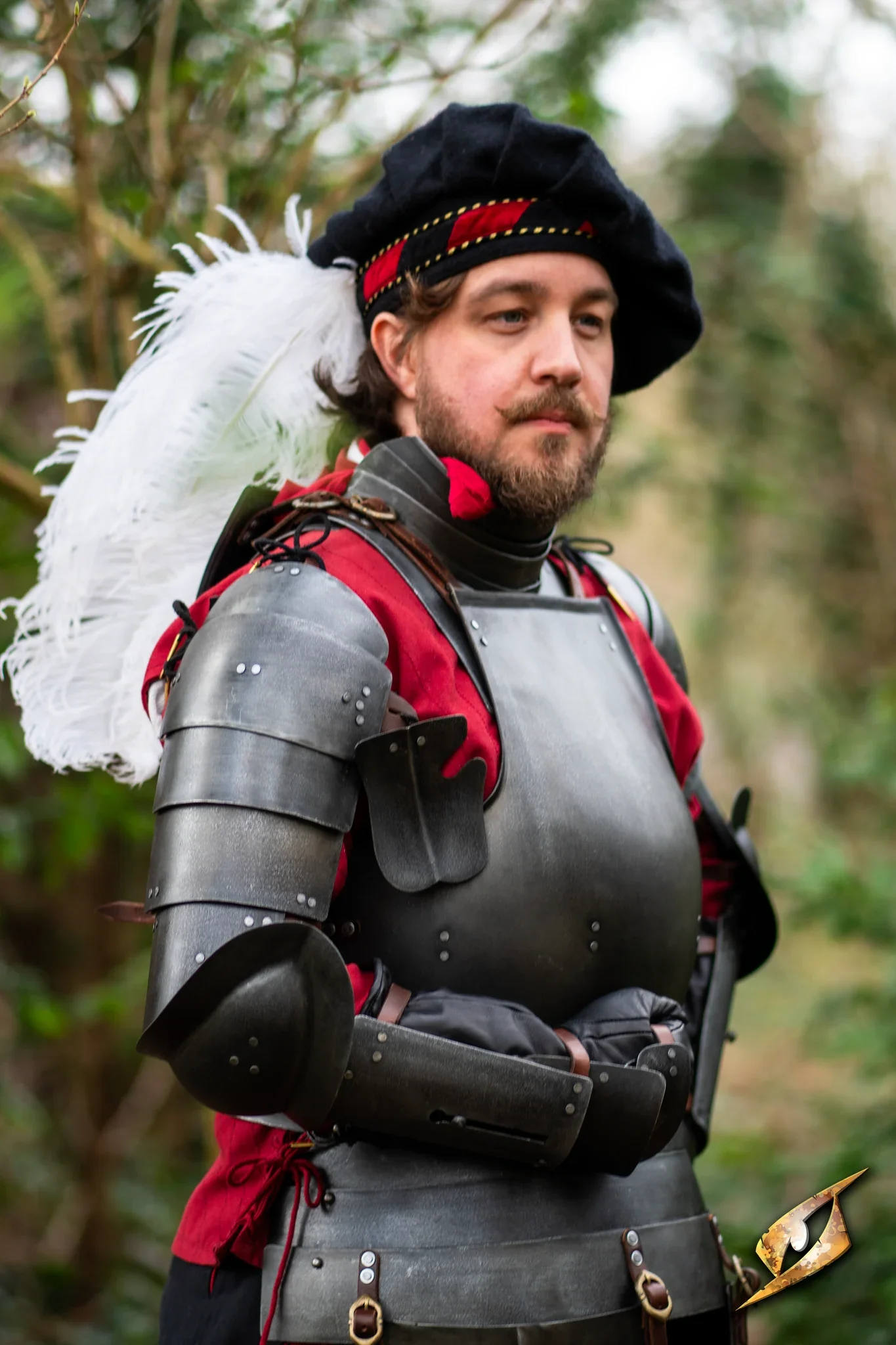 Complete Landsknecht Armour Set - Image 5