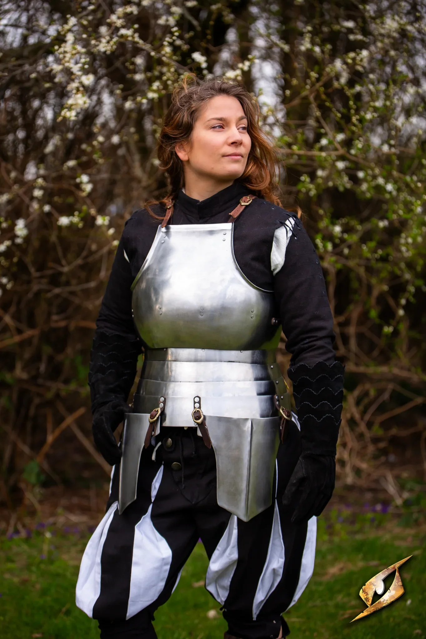 Complete Landsknecht Armour Set - Image 6