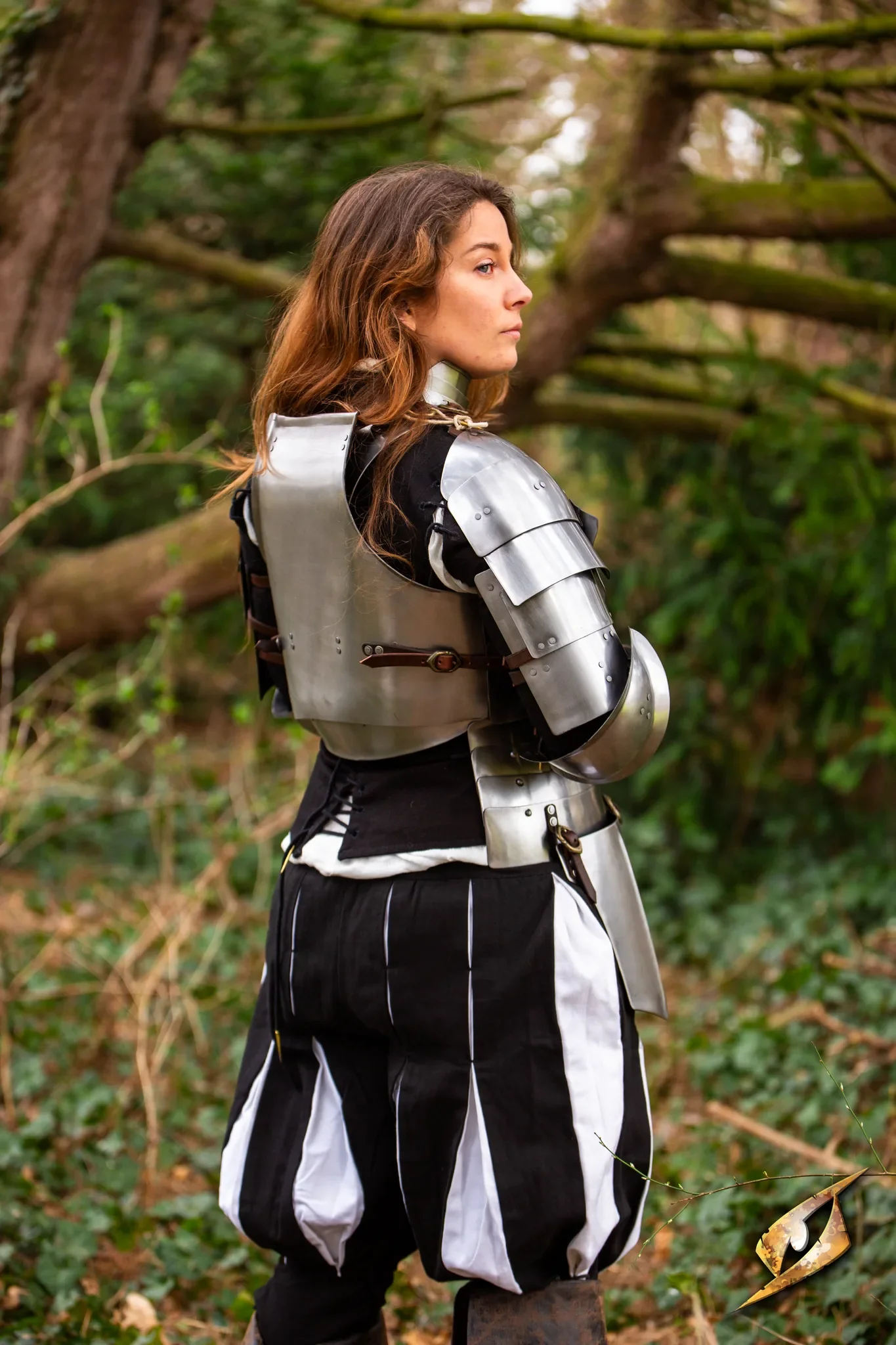 Complete Landsknecht Armour Set - Image 7